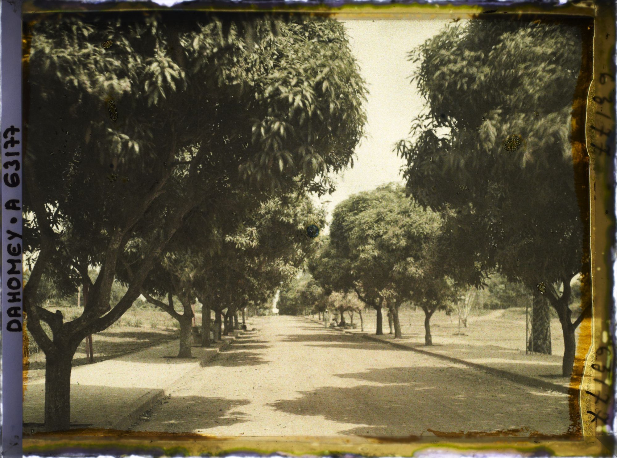 Image représentant L'avenue du Gouvernement (?)