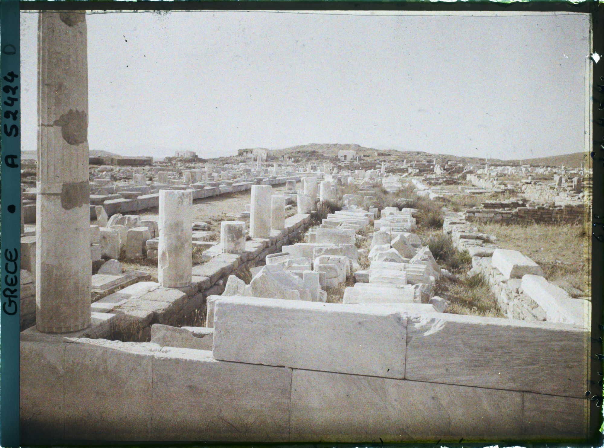 Image représentant Quartier du Hieron (sanctuaire) d'Apollon, l'avenue des Processions conduisant au Hieron (direction nord)