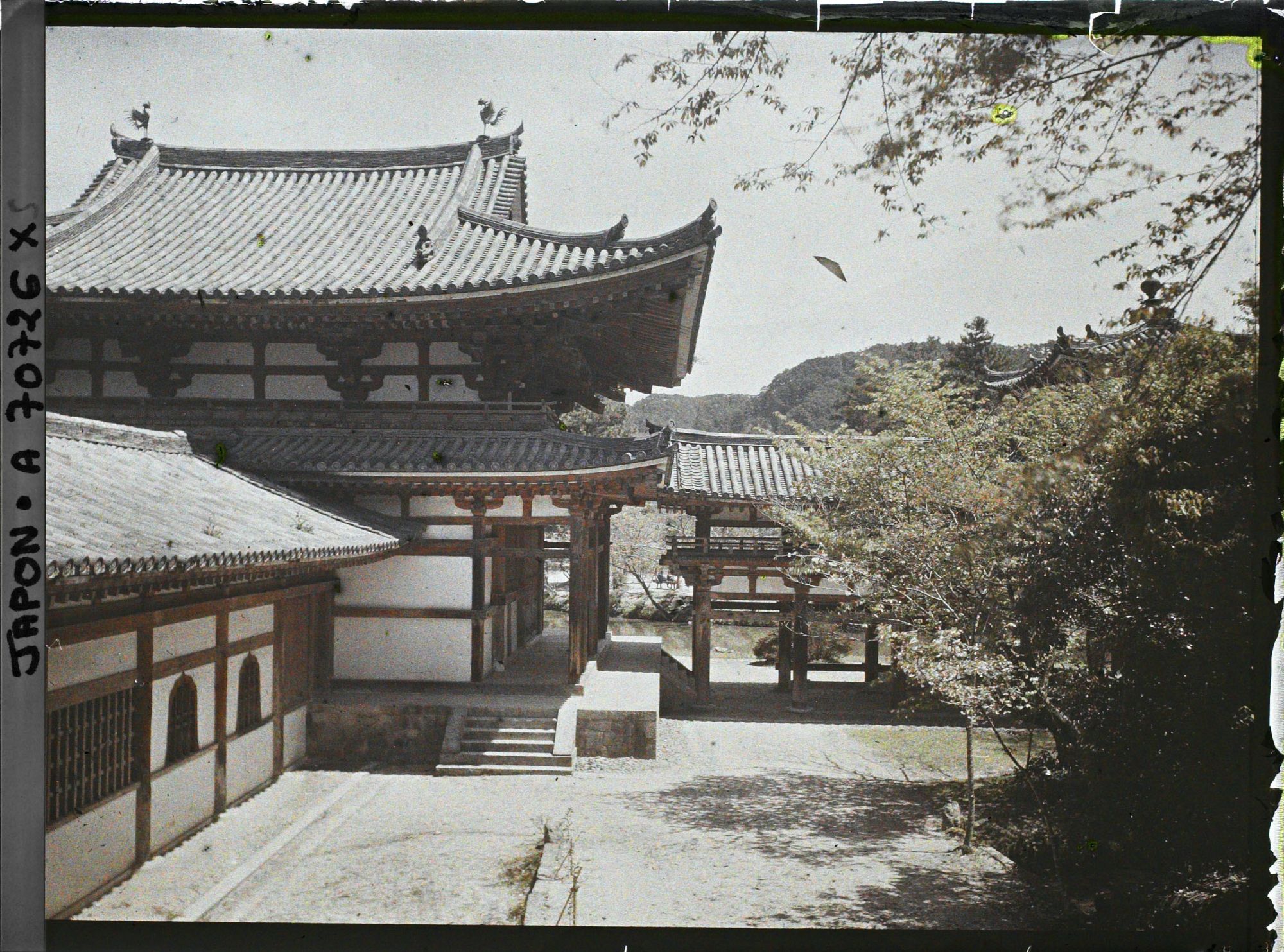 Image représentant Temple Byôdô-in : vue de la partie sud-ouest du Hôôdô (pavillon du phoenix)