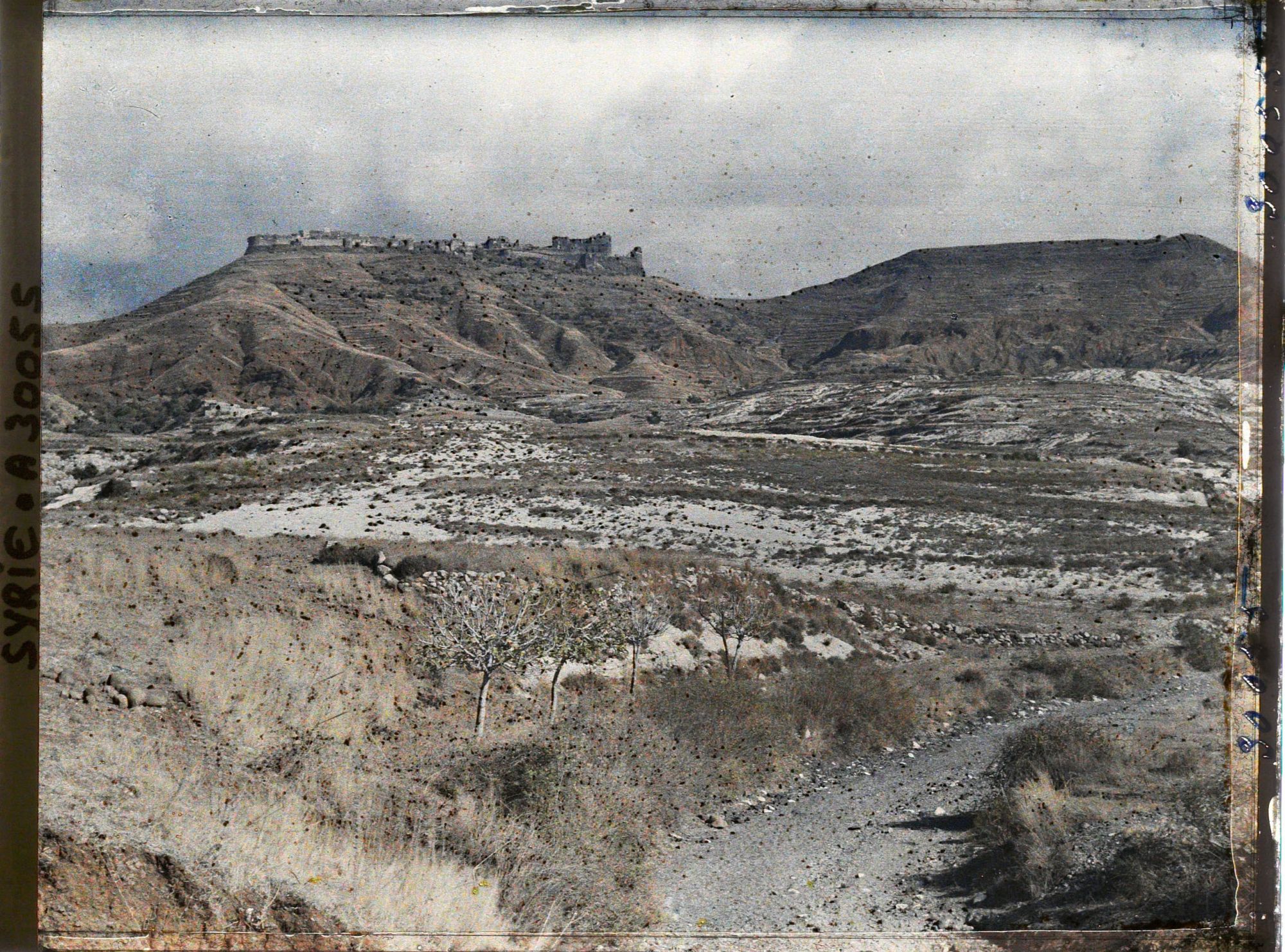 Image représentant Vue vers le Krak des Chevaliers