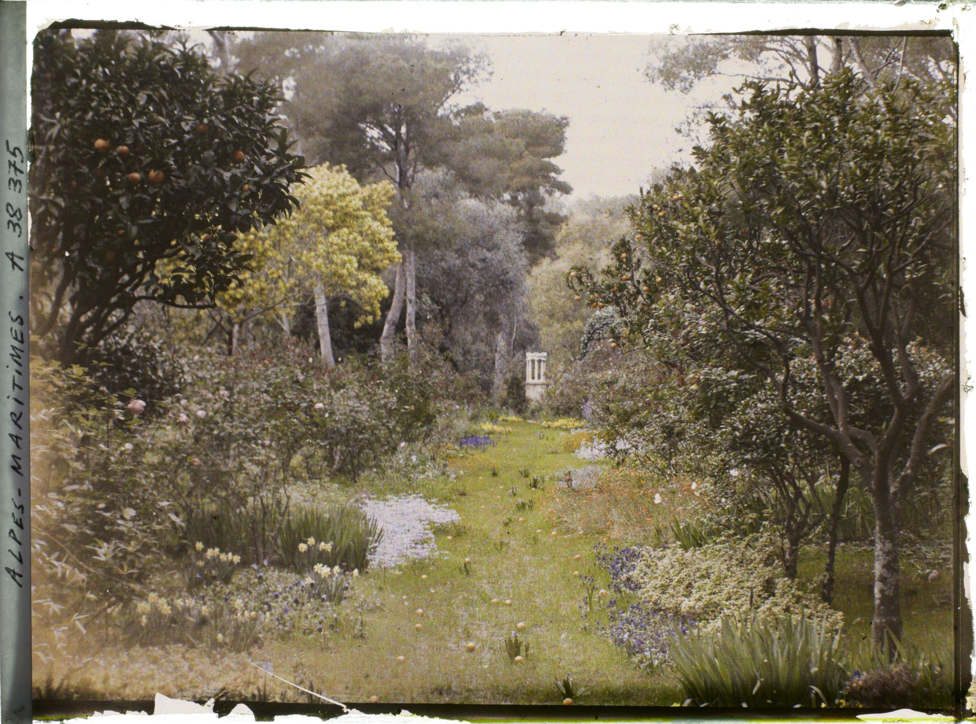 Image représentant Elément construit dans la prairie fleurie de la villa Cypris, bordée d'agrumes et d'arbustes en fleurs