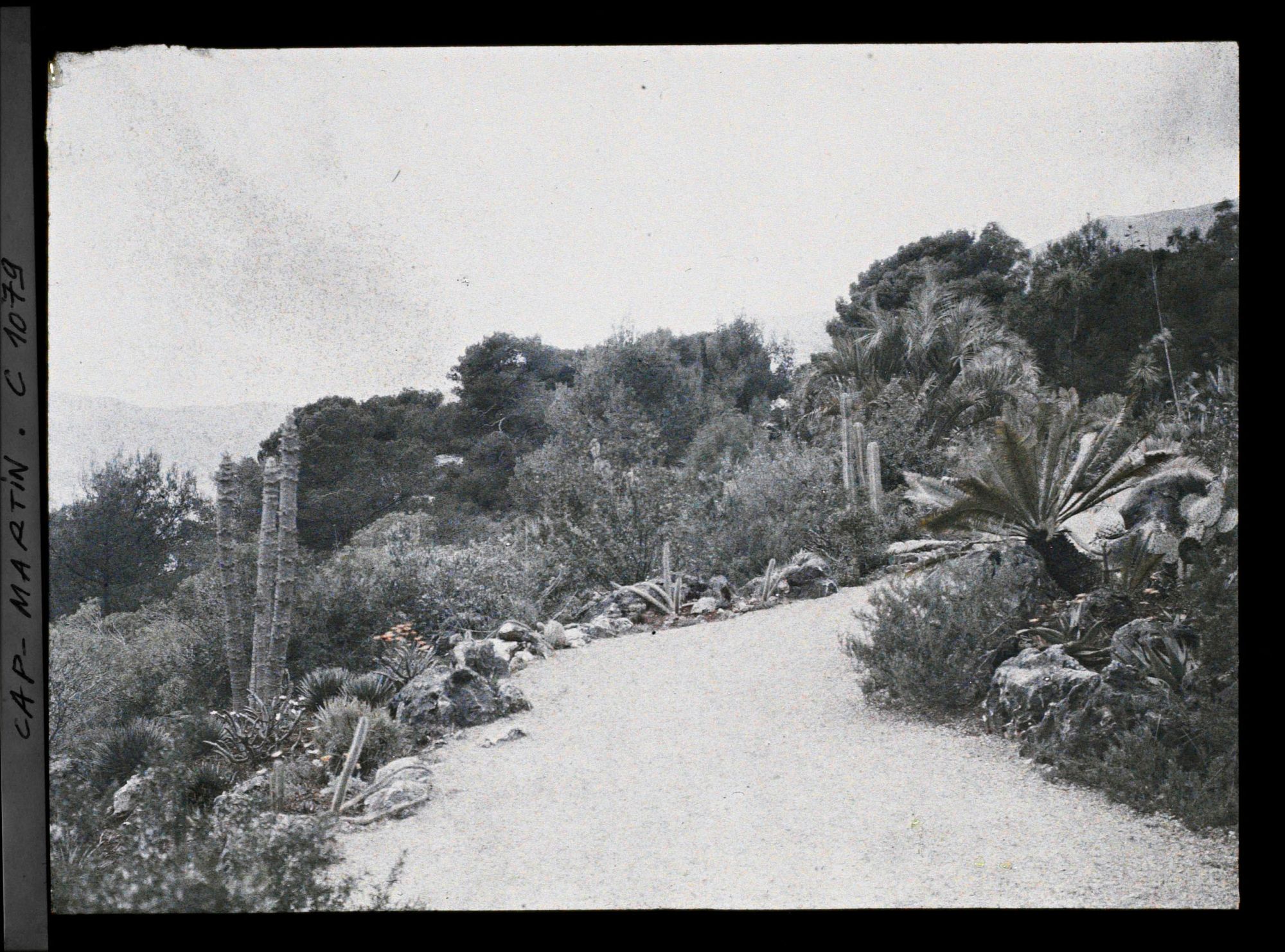 Image représentant le jardin