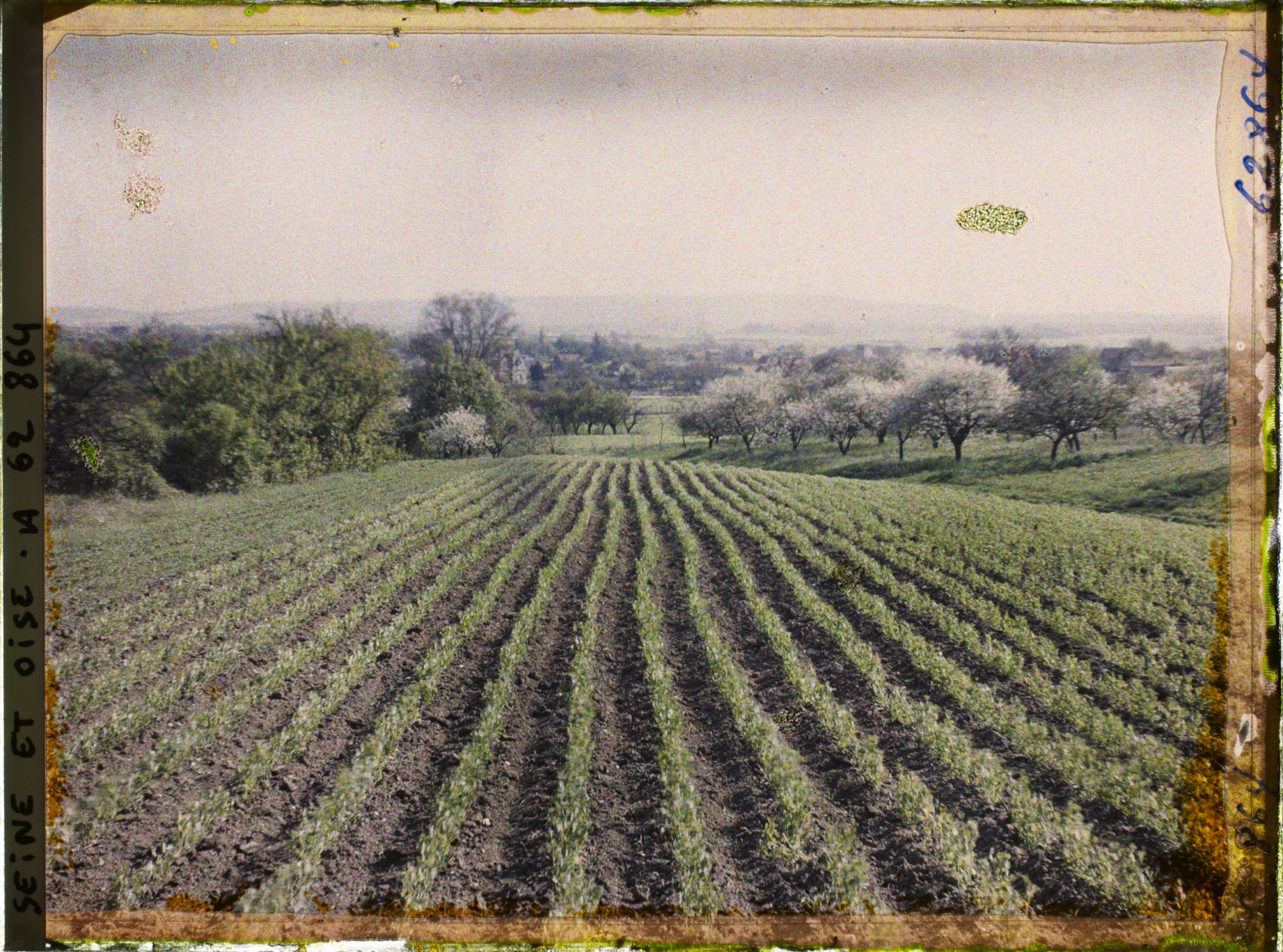 Image représentant Seine et Oise, St Nom la Bretèche, Culture de pois