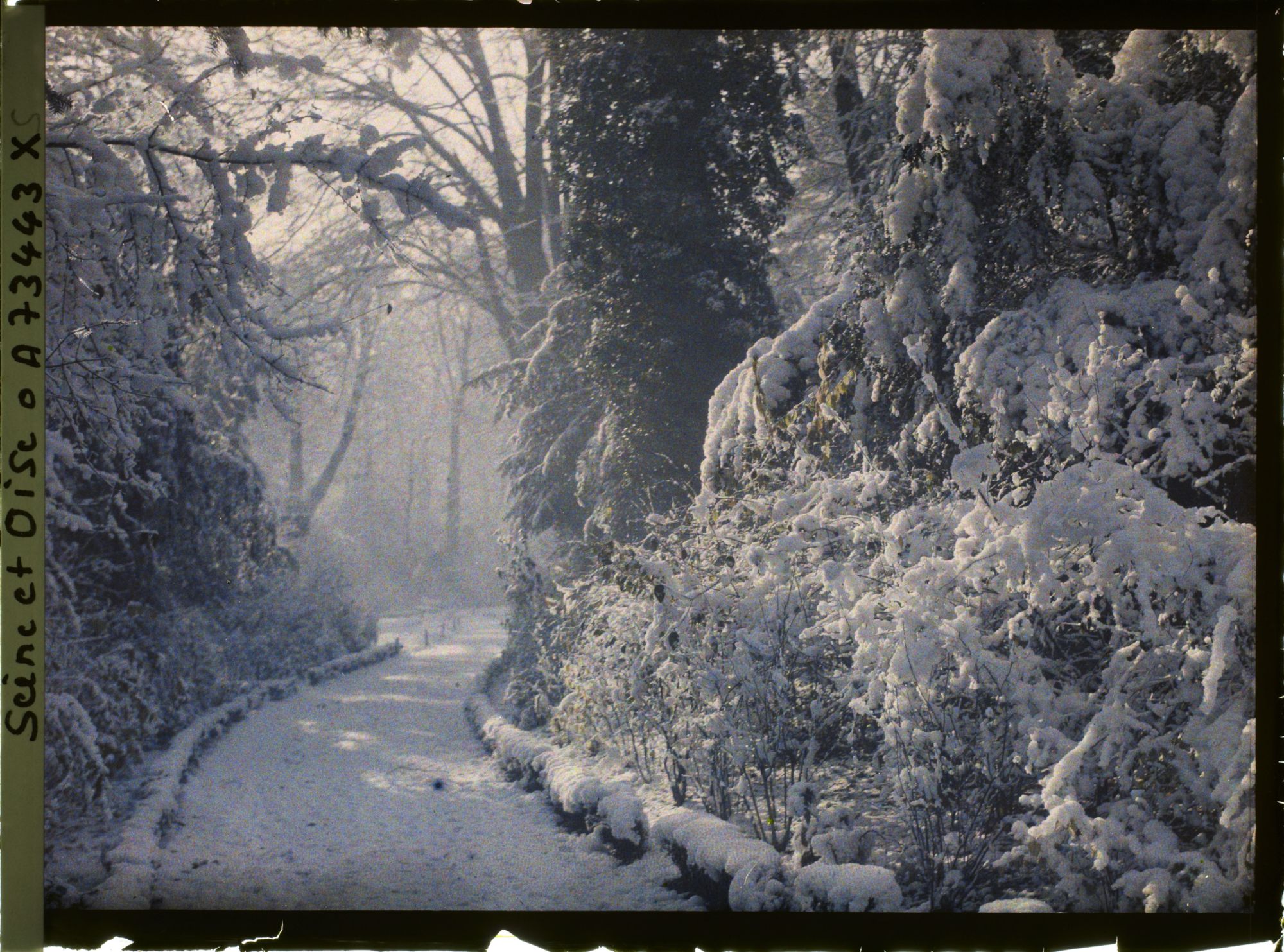 Image représentant Une allée du jardin du trocadéro sous la neige