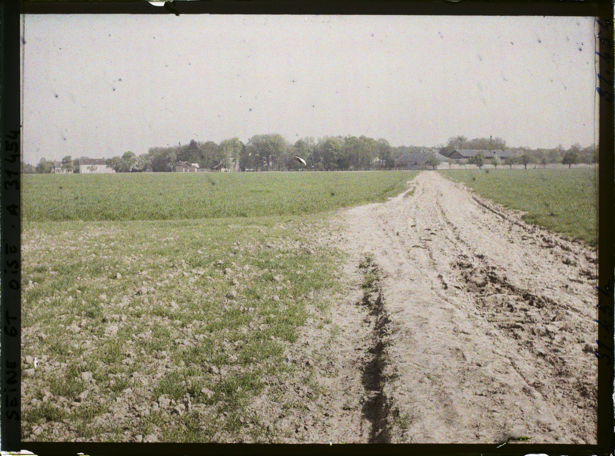 Image représentant France , Manet près Montigny, Champs de blé