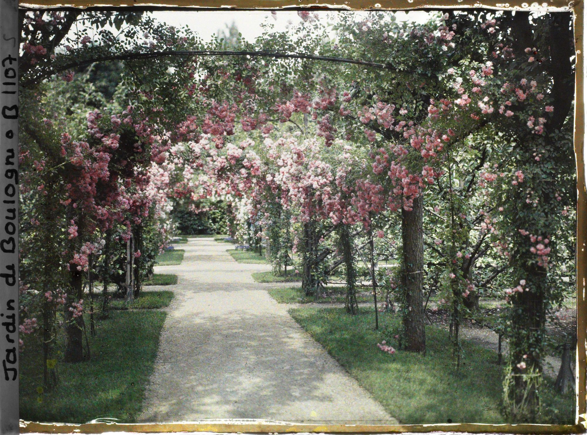Image représentant Axe central du verger-roseraie vu vers la dépendance, après le rond-point proche du jardin français