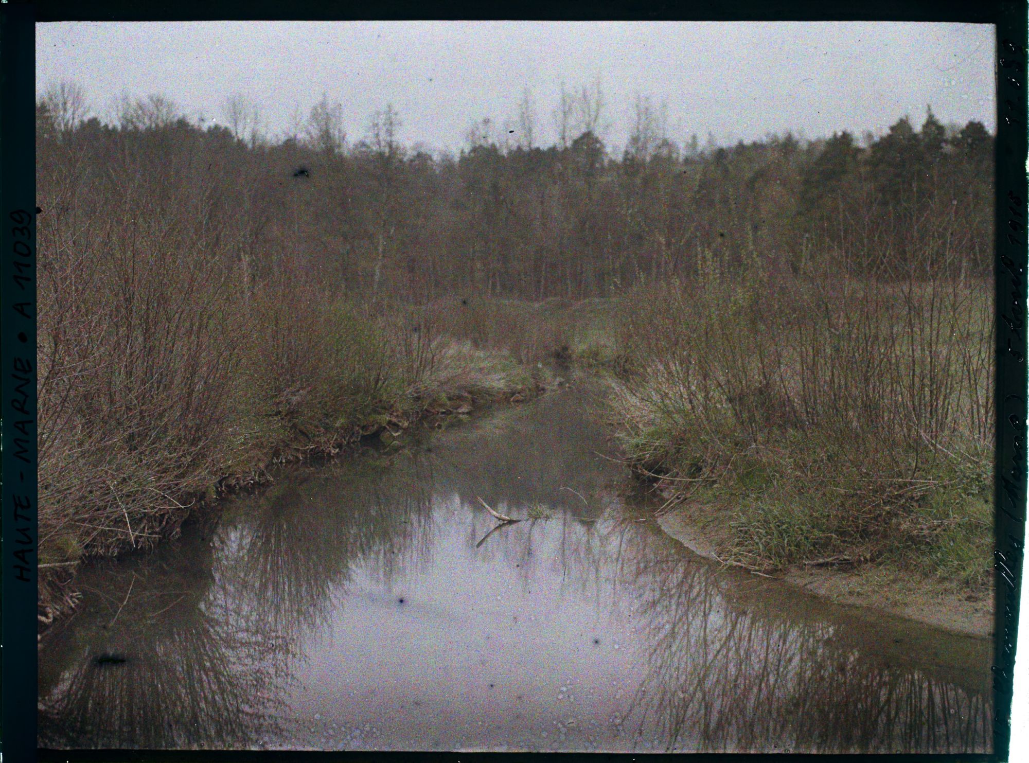 Image représentant Le château propriété Léchaudelle (?)