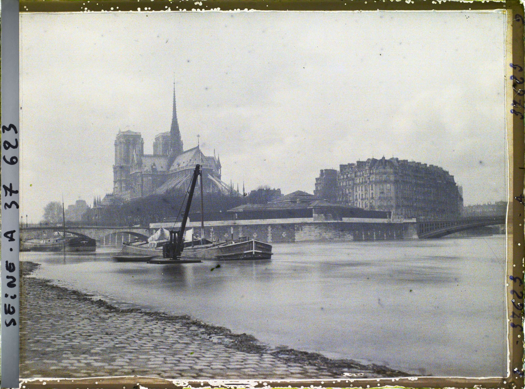 Image représentant La cathédrale Notre-Dame sur l'île de la Cité depuis le quai de la Tournelle