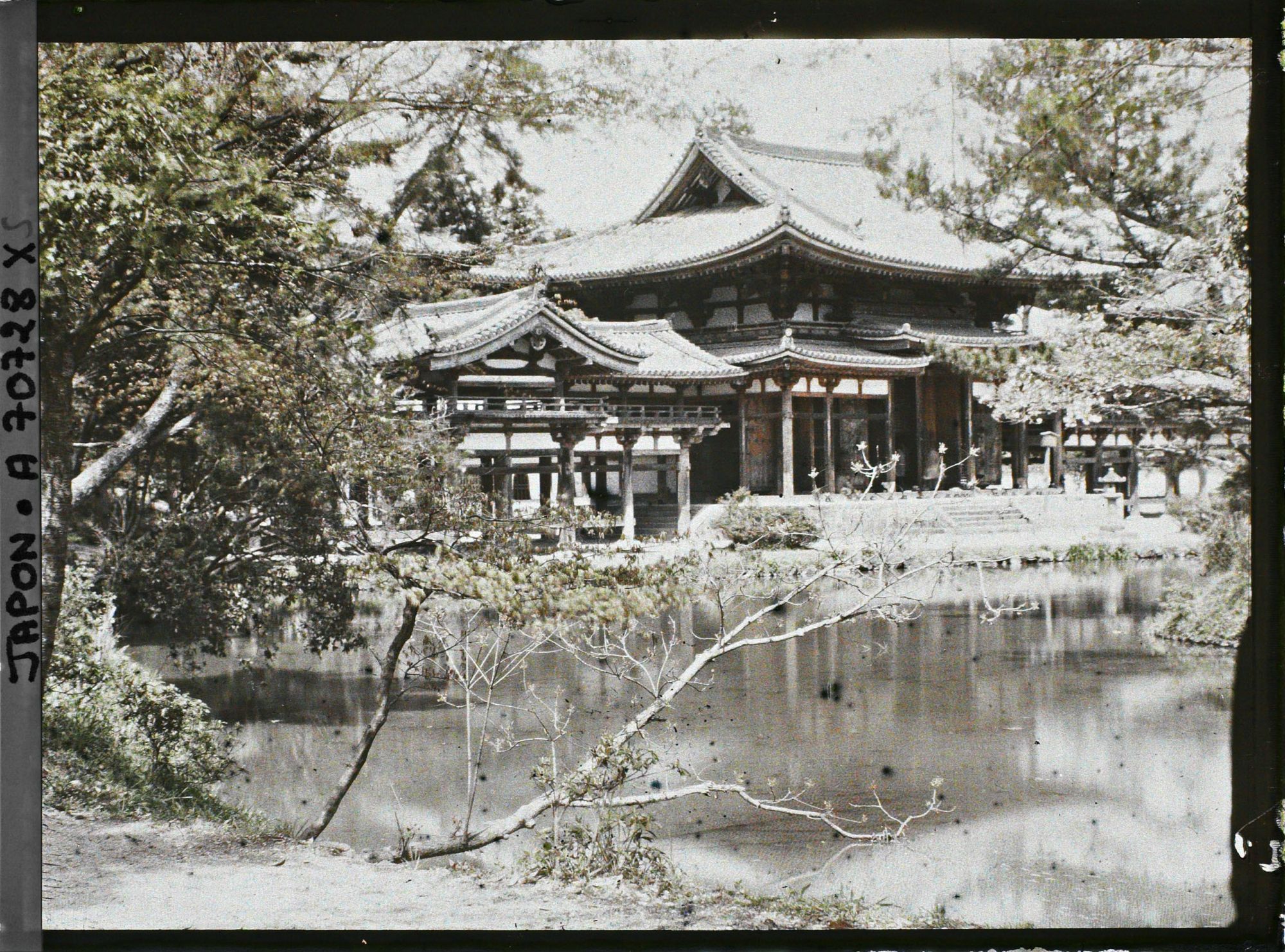 Image représentant Temple Byôdô-in : le Hôôdô (pavillon du phoenix) et l'étang aux lotus