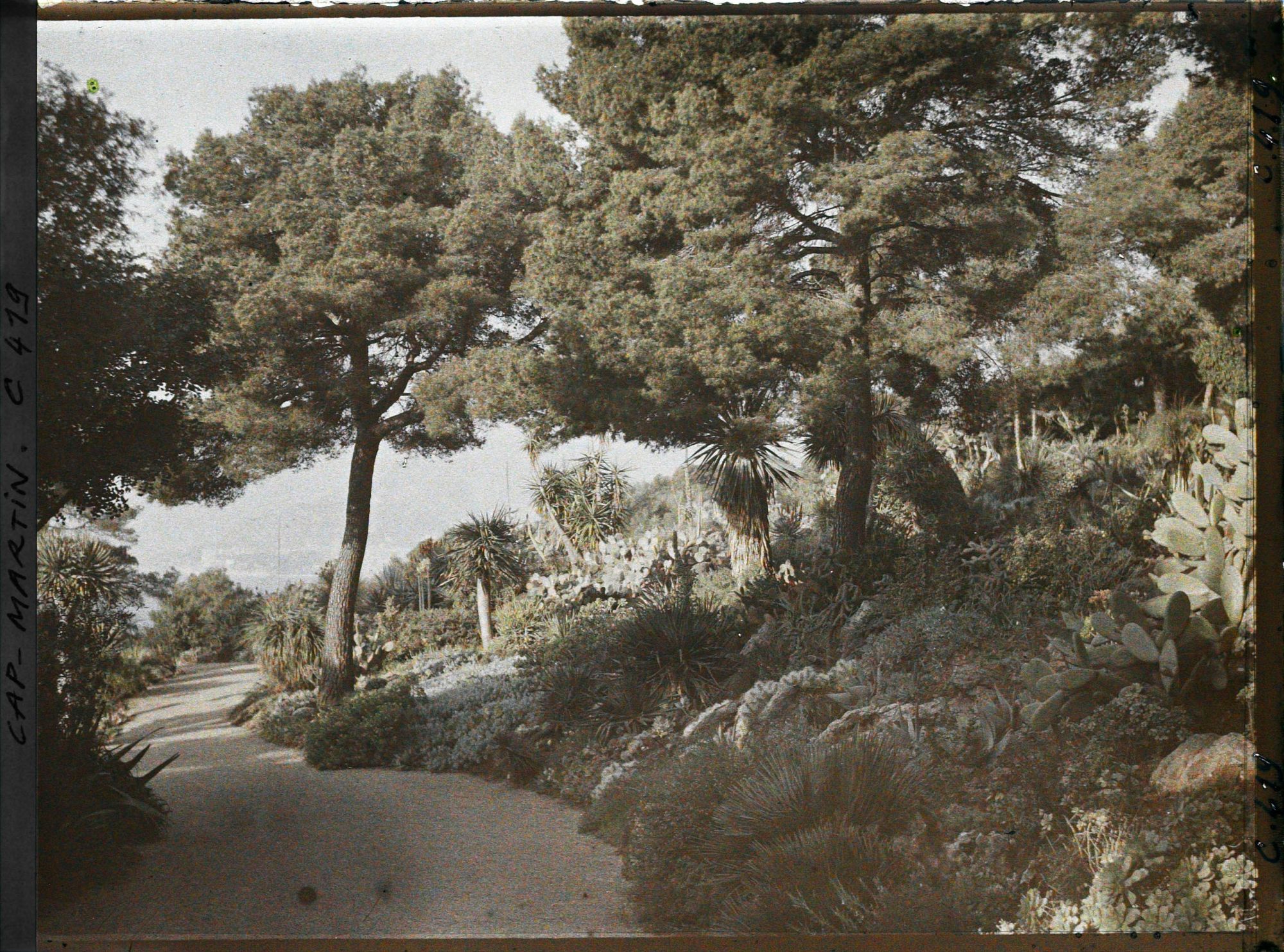 Image représentant Cap Martin Le Jardin