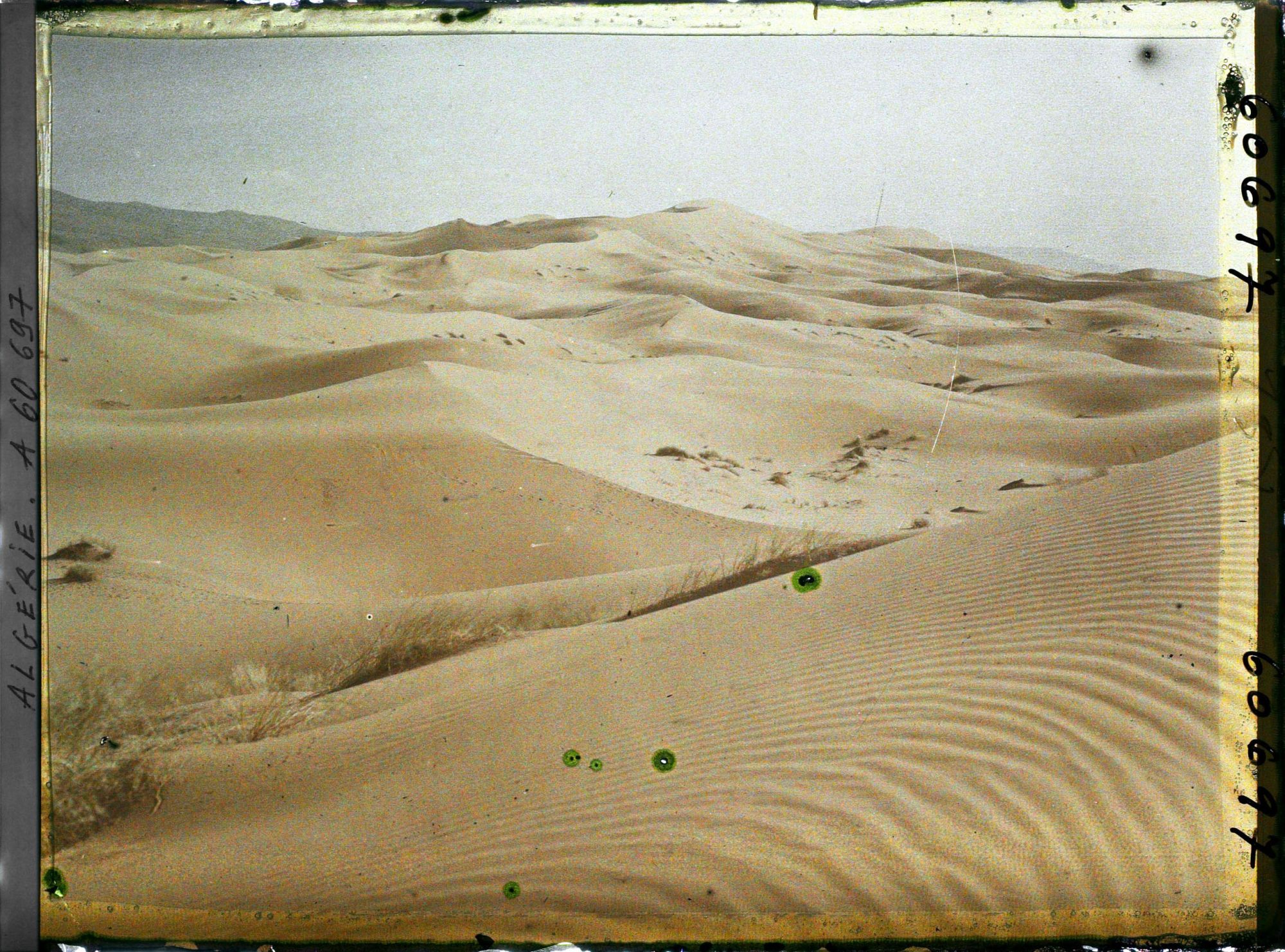 Image représentant La grande dune le soir avec au fond, le Djebel Mekter