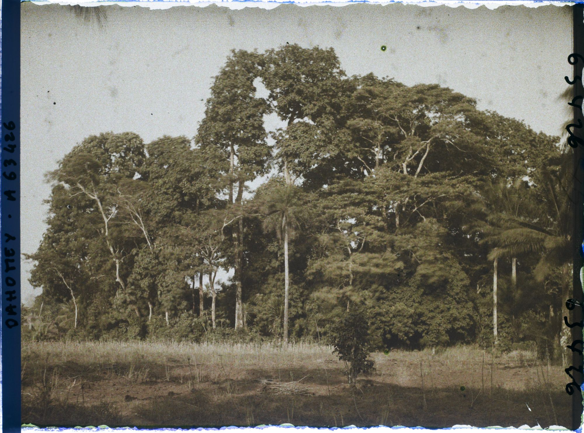 Image représentant Un bois sacré faisant office d'enclos fétichiste