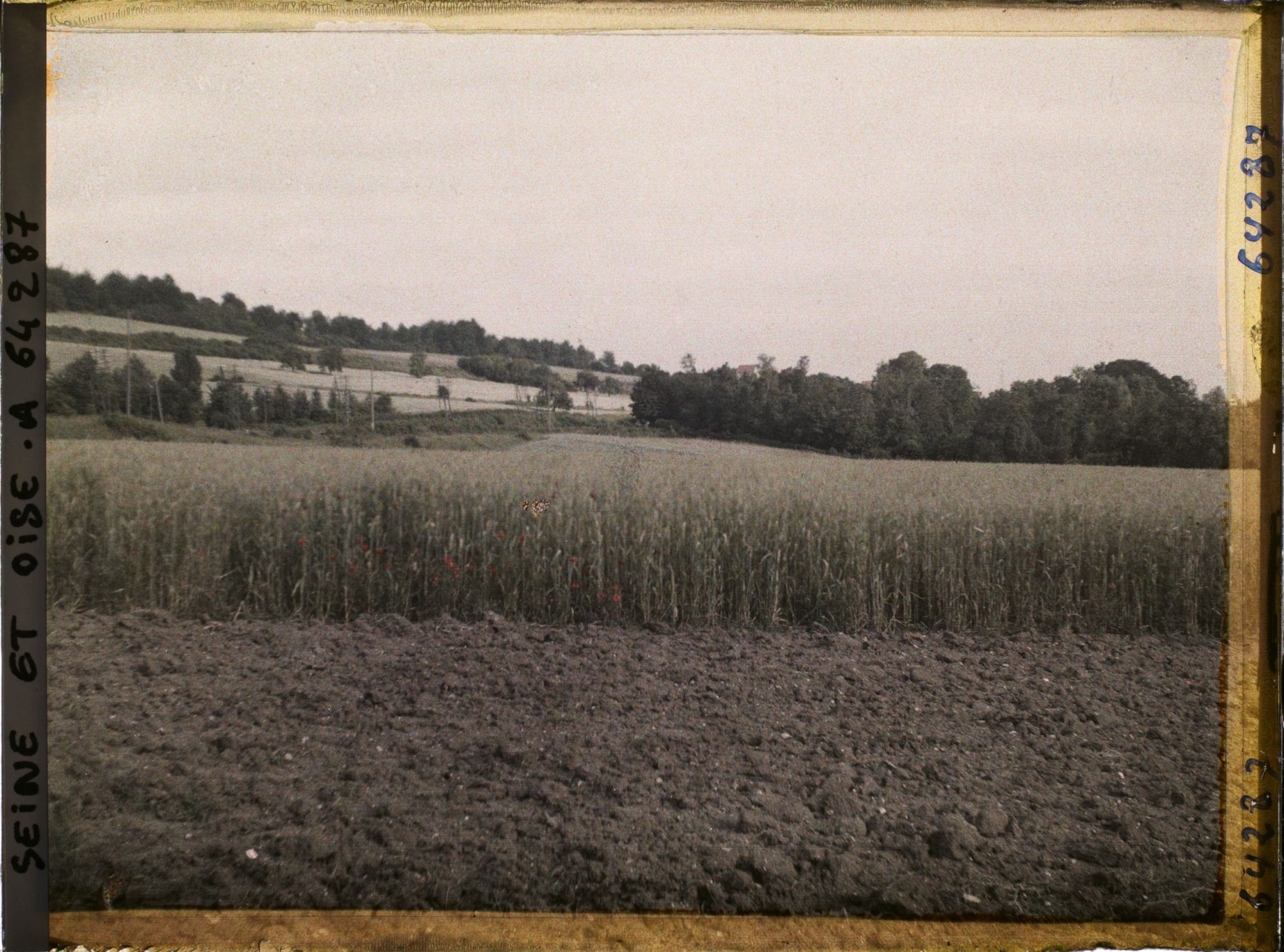 Image représentant Ile de France, Presles, Blé et Avoines