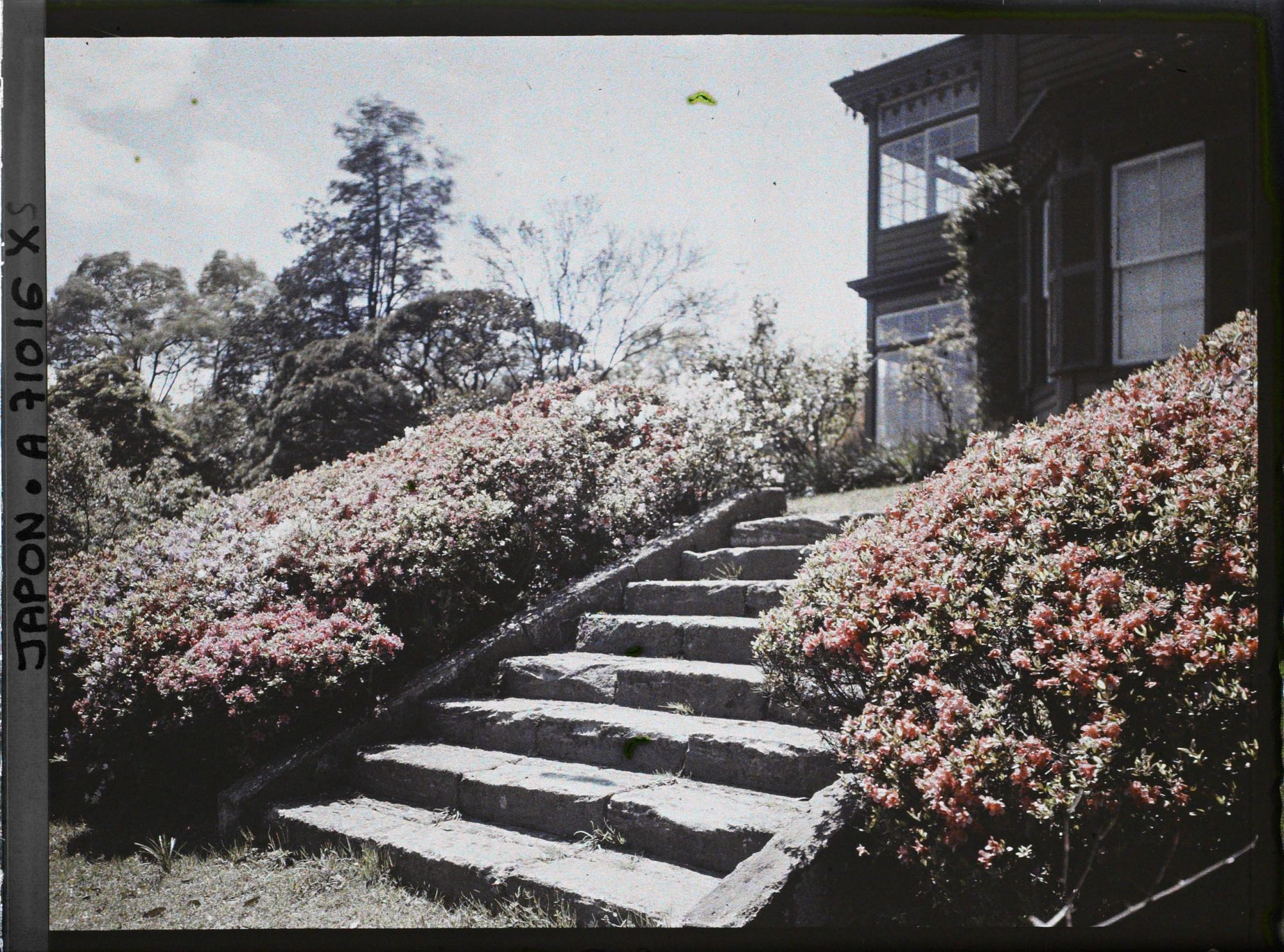 Image représentant Jardin d'une résidence ?