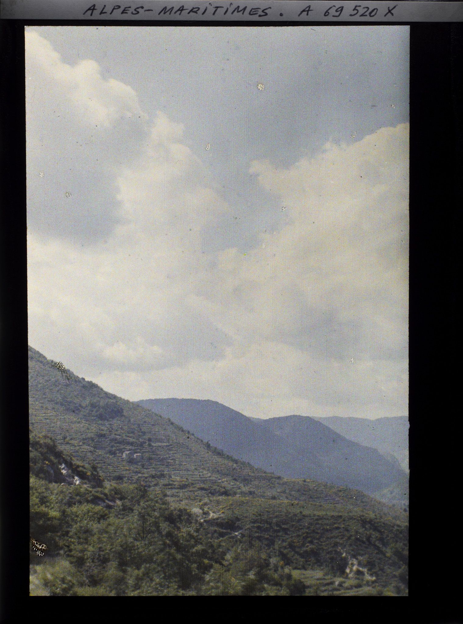 Image représentant Panorama d'une succession de monts cultivés et arborés
