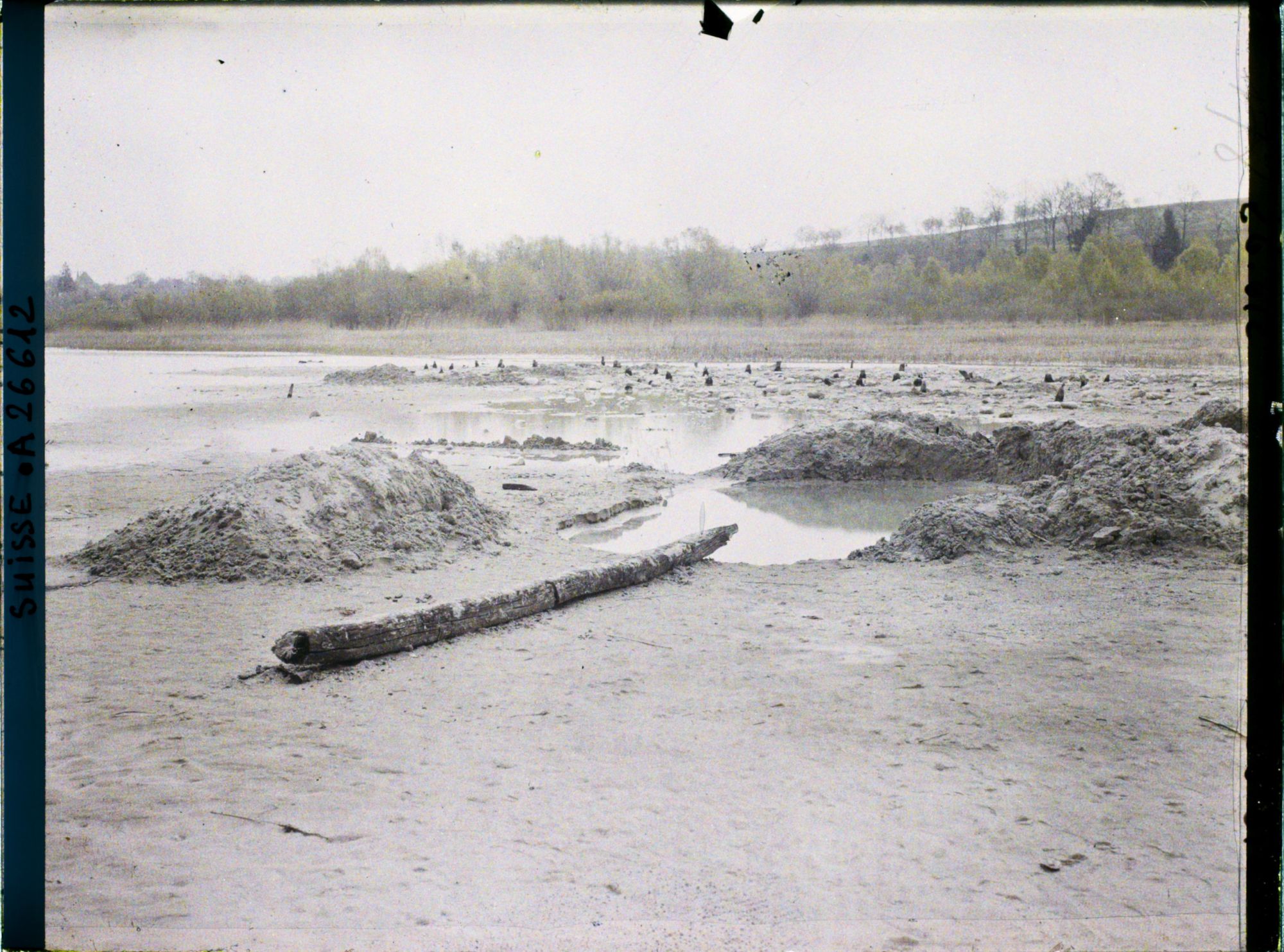 Image représentant Site palafittique préhistorique des Alpes, pieux en bois visibles lors de la baisse des eaux après la grande sécheresse de 1921 sur le lac de Neuchâtel