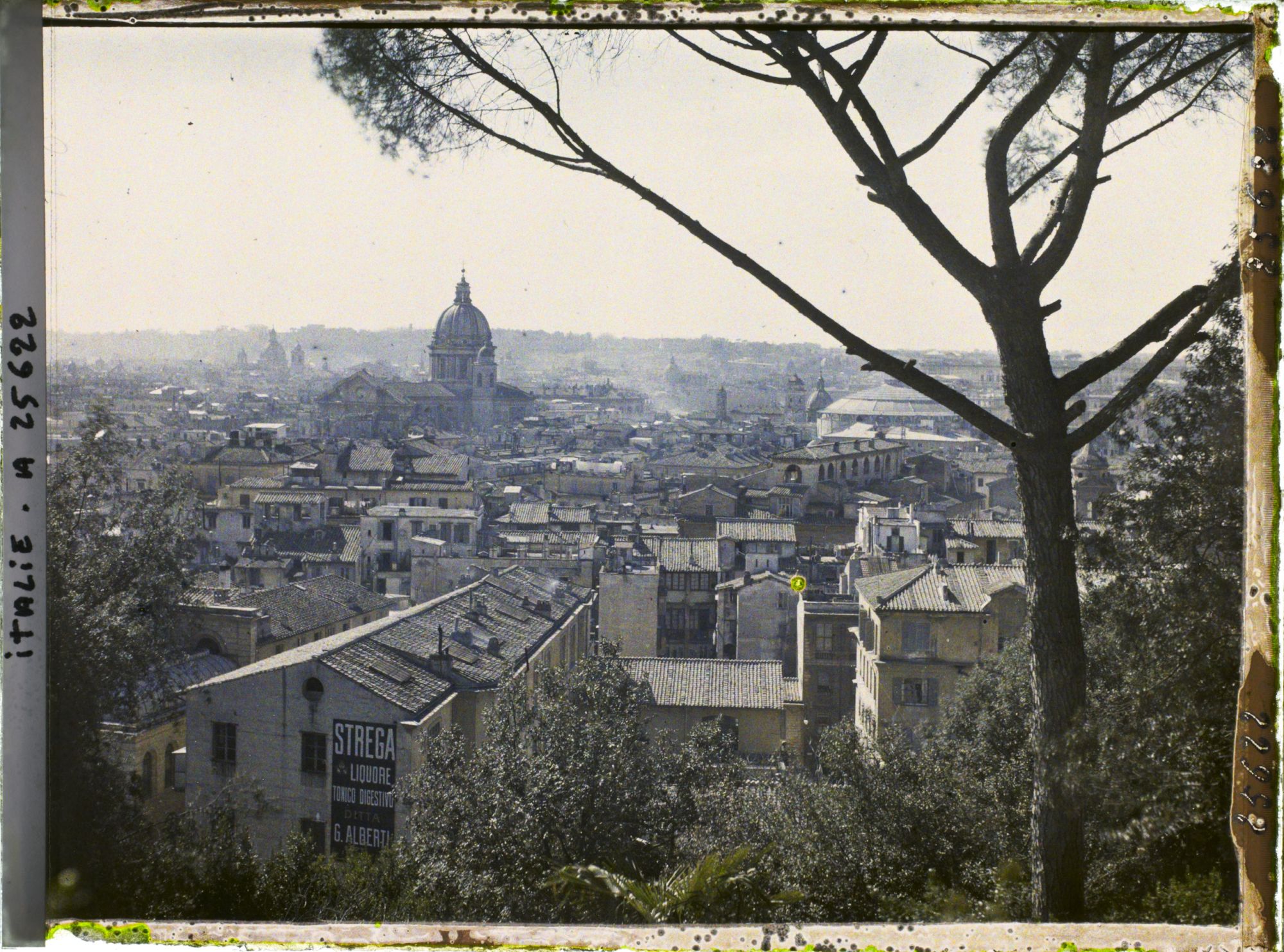 Image représentant Panorama sur la ville depuis les jardins de la Villa Médicis