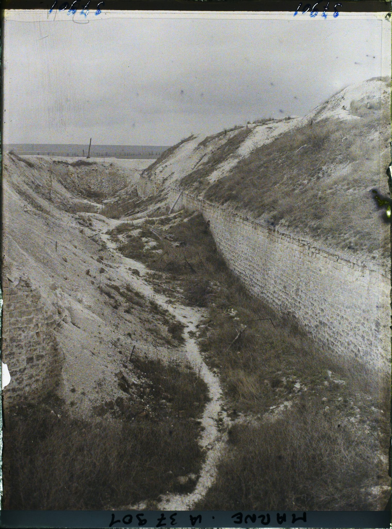 Image représentant France, La Pompelle, Courtine Sud