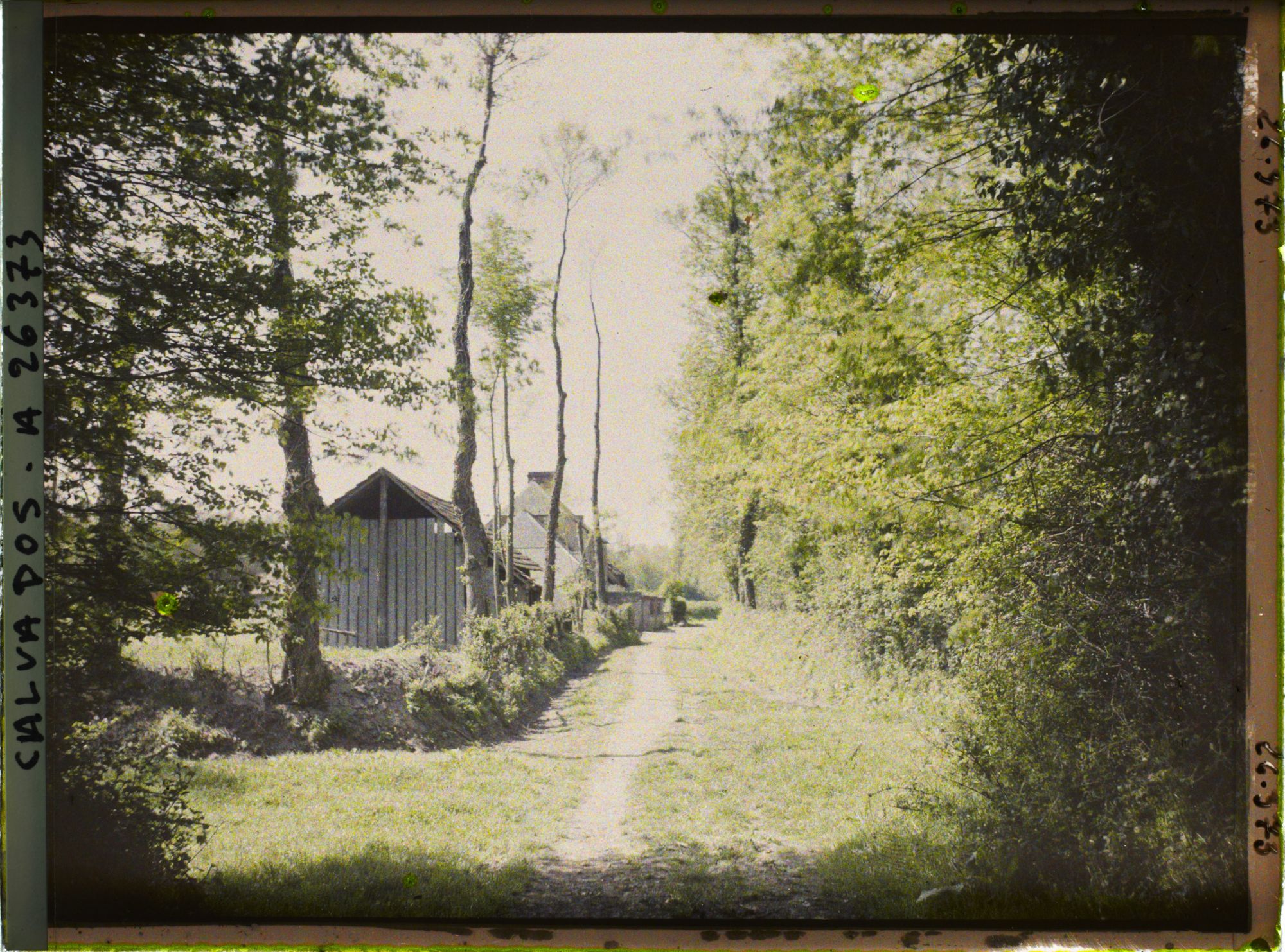 Image représentant Un petit chemin près d'Isigny-sur-Mer