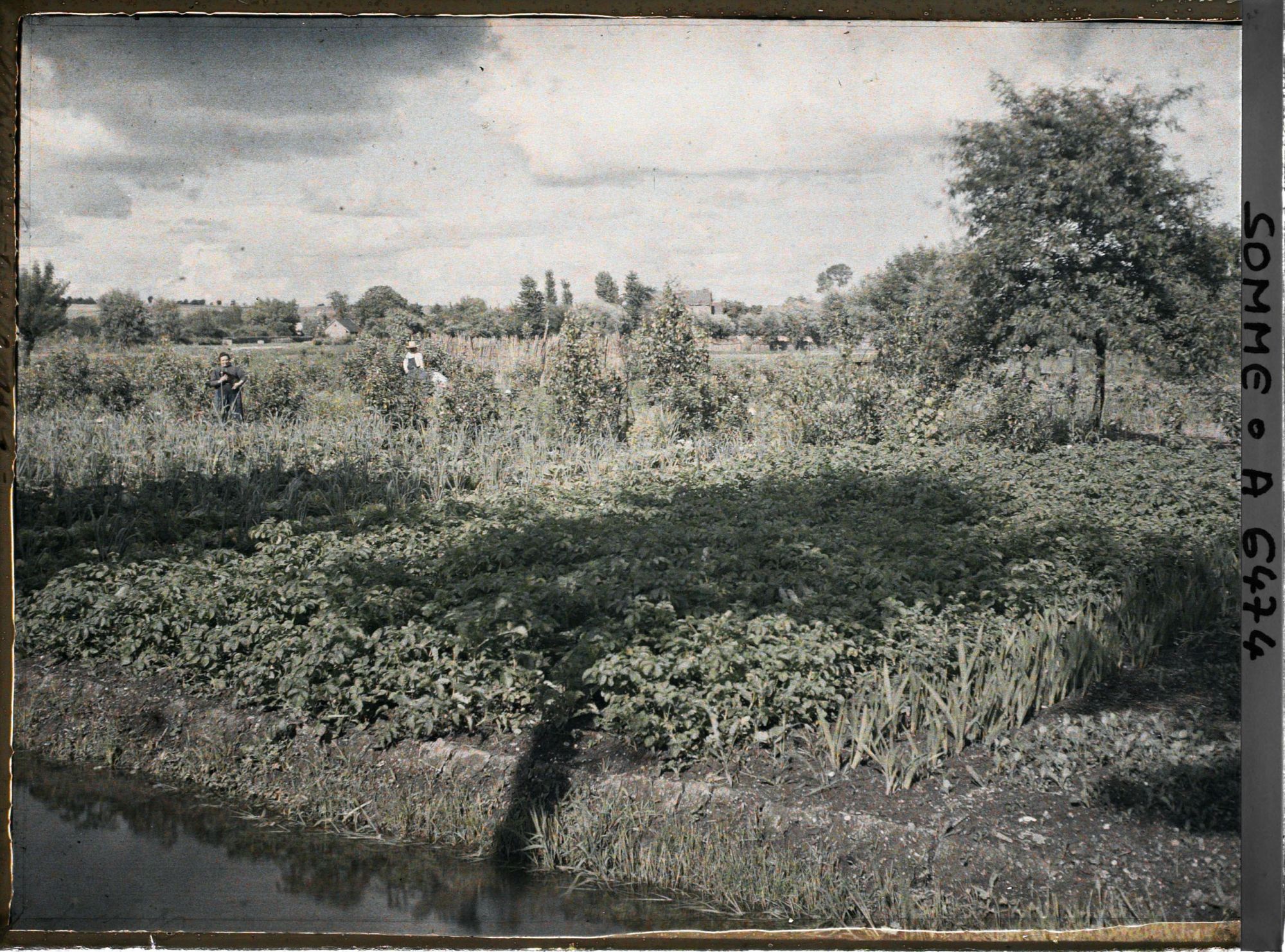Image représentant France, Amiens, Les Hortillonnages