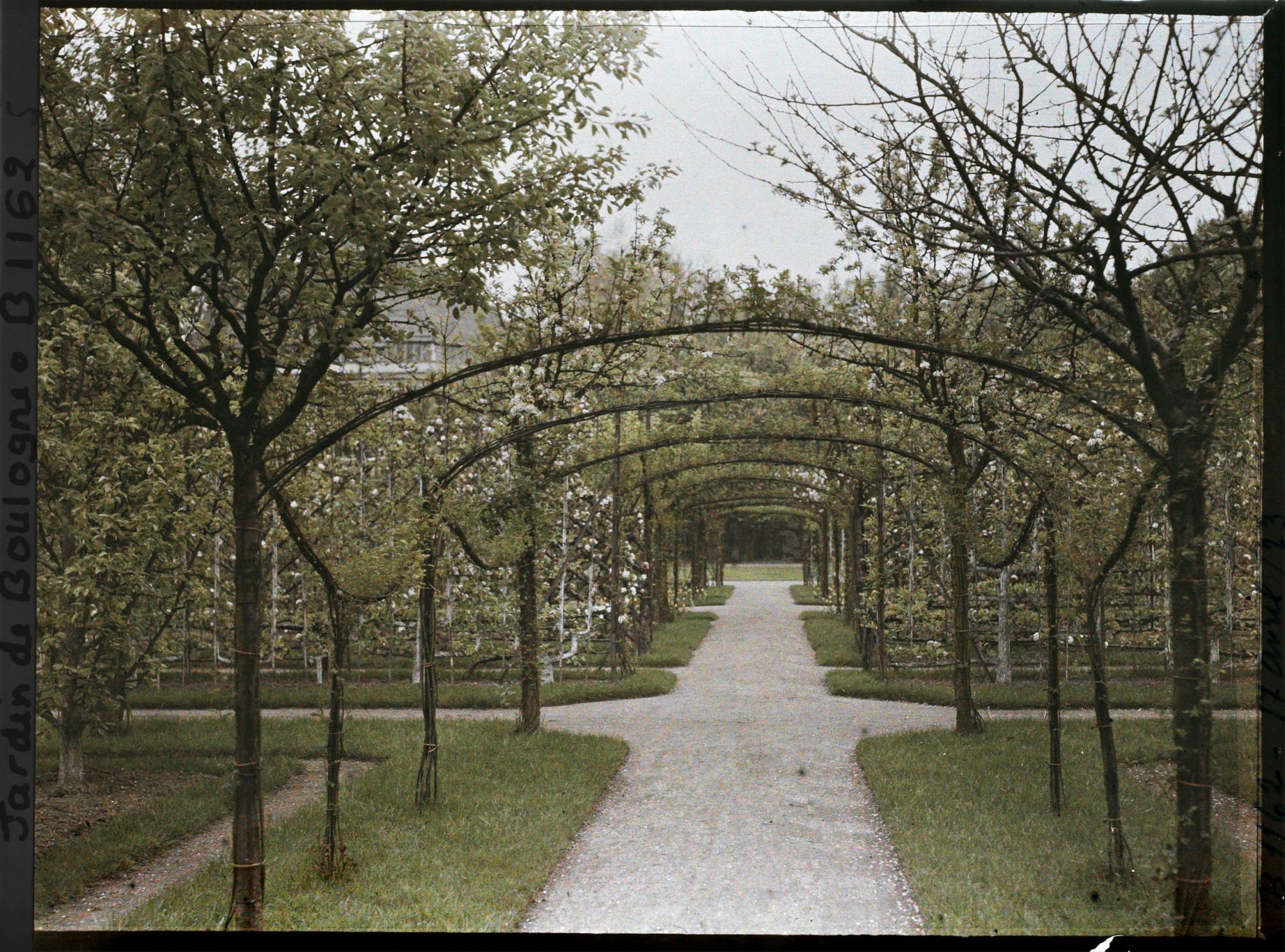 Image représentant Axe central du verger-roseraie vu en direction du jardin anglais, après le rond-point côté dépendance