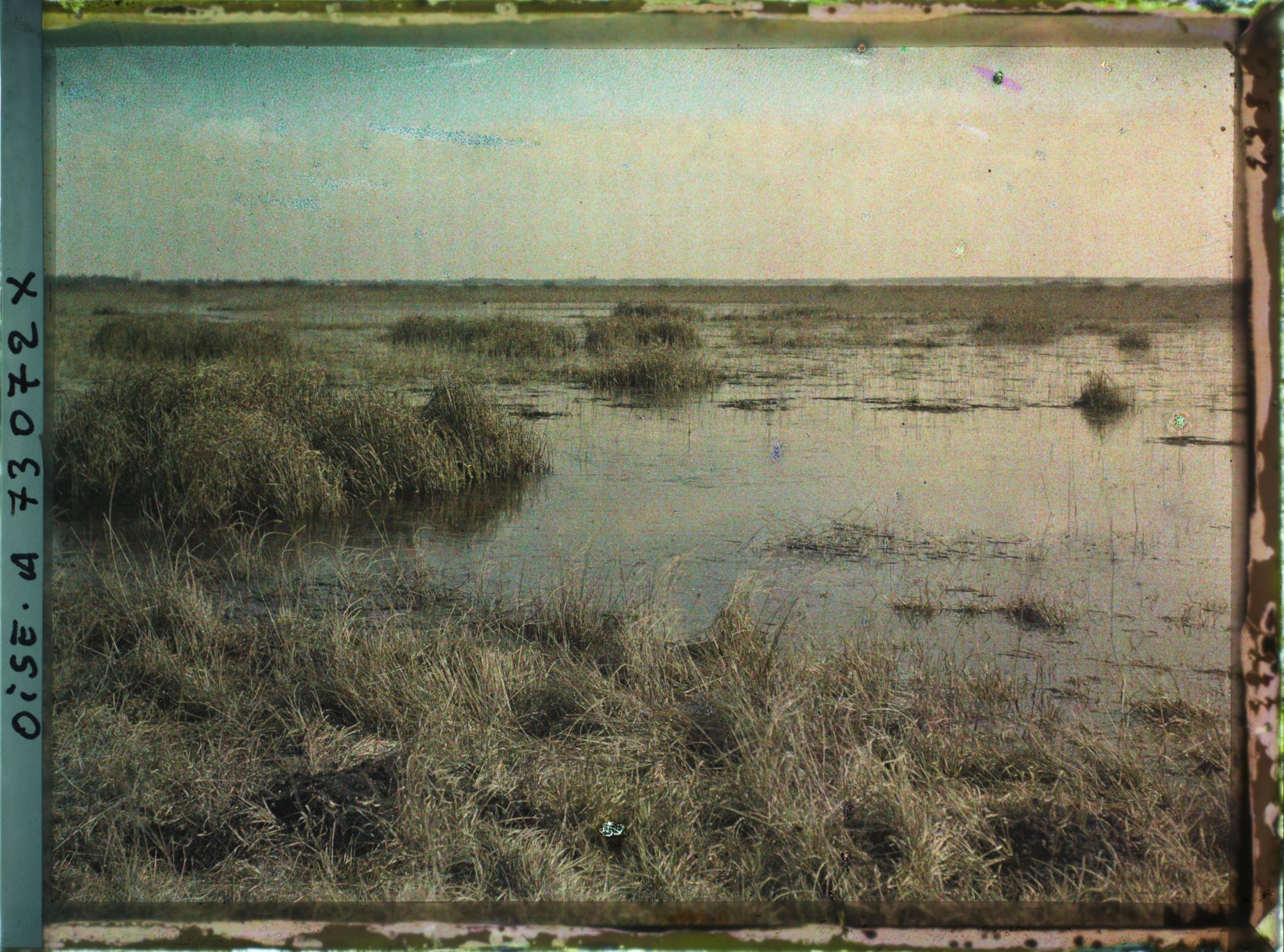 Image représentant Les marais de Saint-Gond