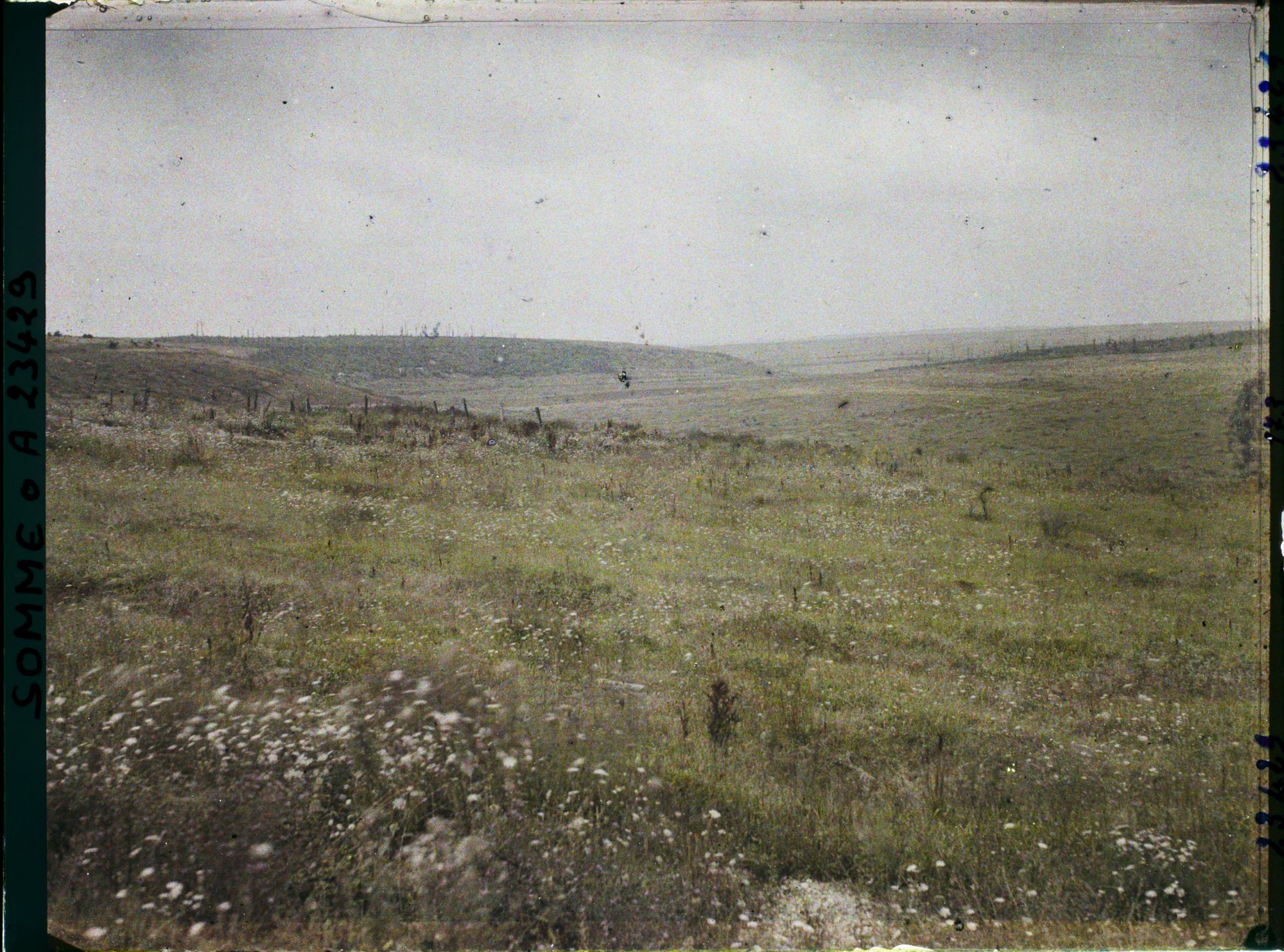 Image représentant France, Bouchavesnes, Le bois Marrières vu de Bouchavesnes