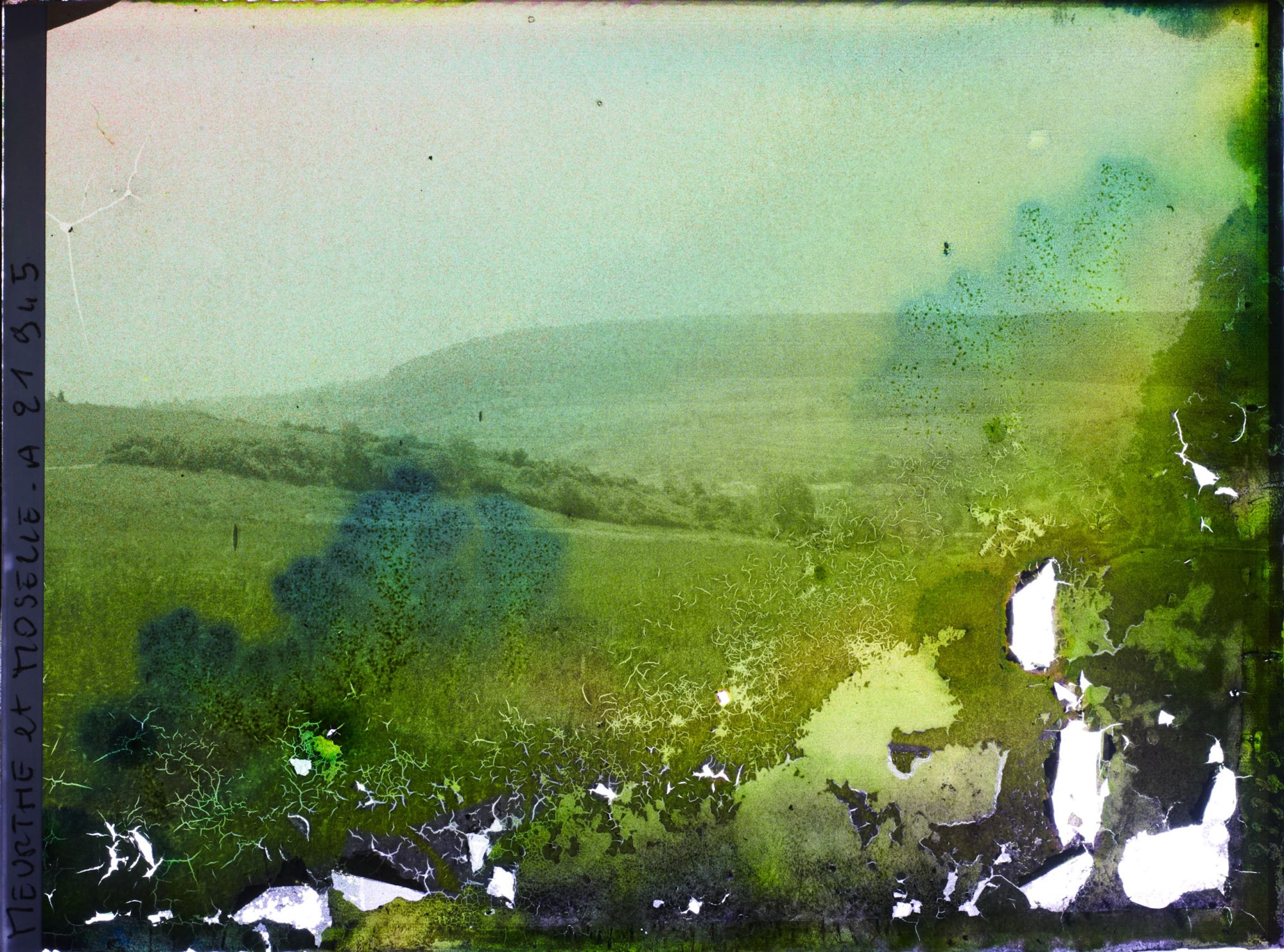 Image représentant France, Bois Le Prêtre, Forêt de Privenelle