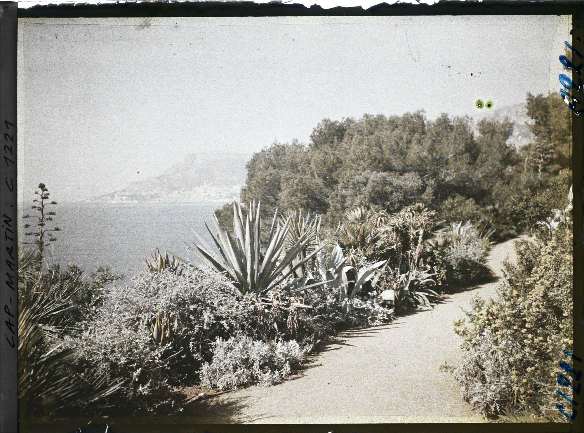 Image représentant le Jardin