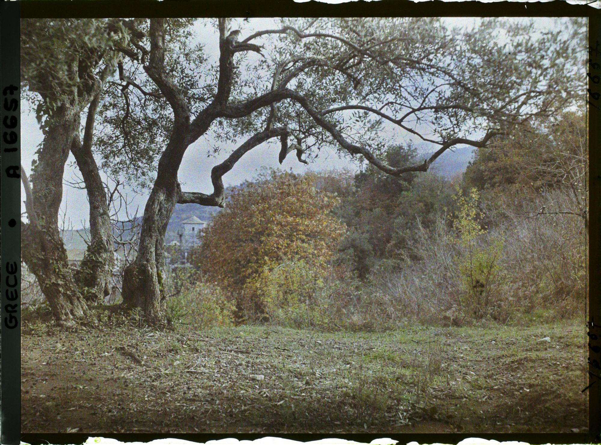 Image représentant Turquie, Mont Athos, Stravonikita, Paysage à Couthoumousson