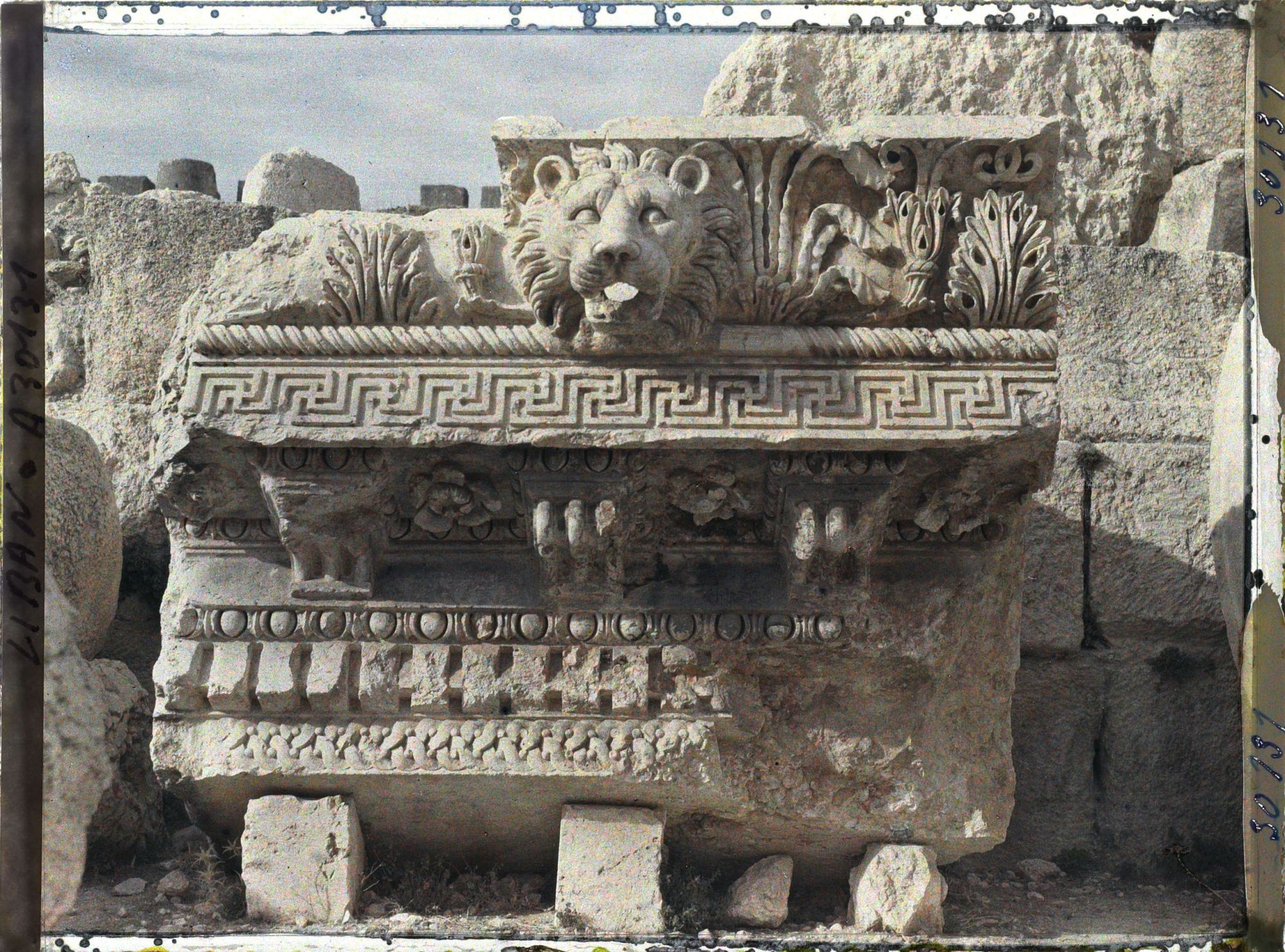 Image représentant Fragment à terre d'une corniche représentant un lion servant de gargouille. Il provient du péristyle méridional du sanctuaire du Temple de Jupiter Héliopolitain