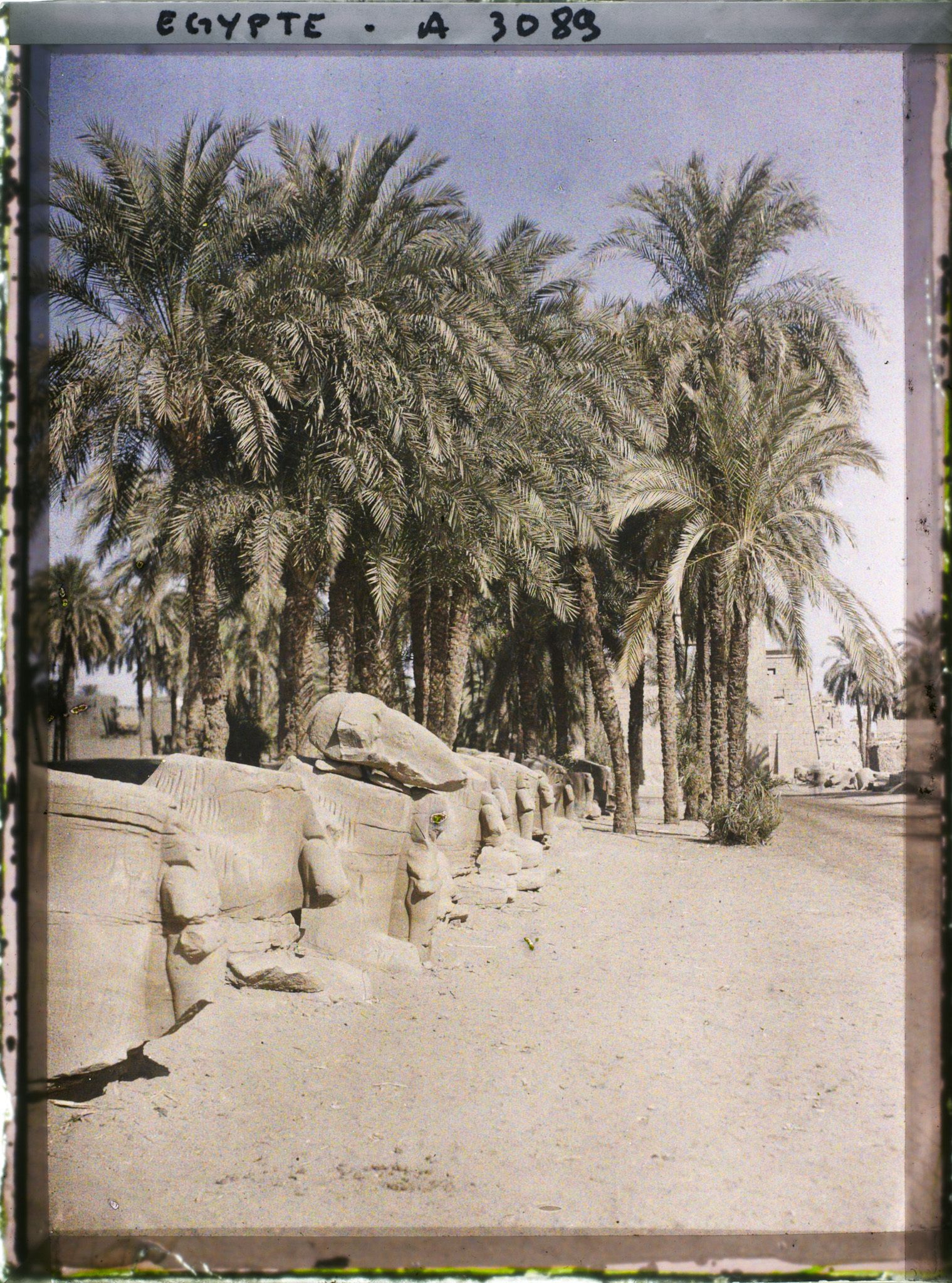 Image représentant Allée menant au site de Karnak