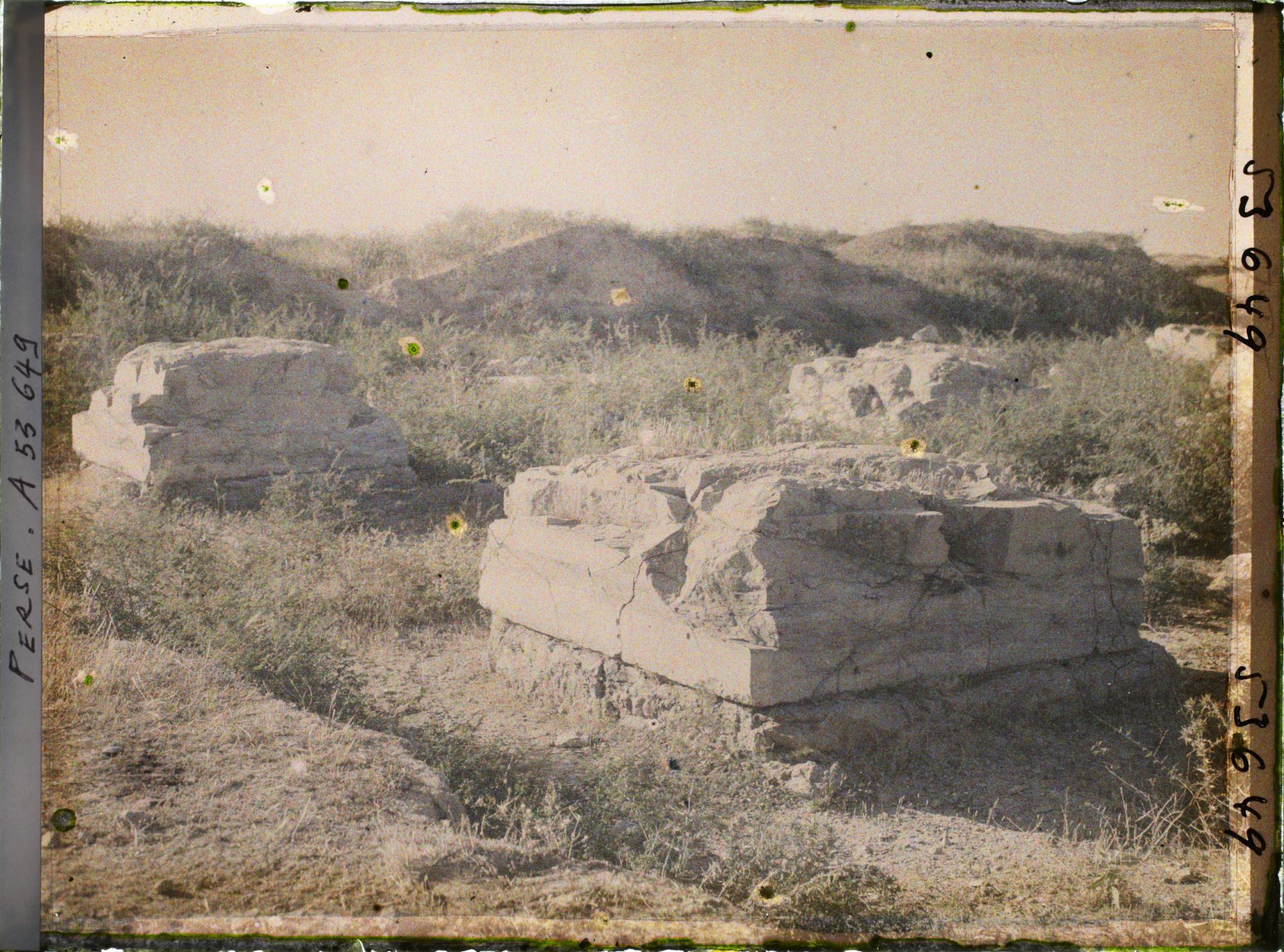 Image représentant Bases de colonnes carrées (ruines de l'Apadana ?)