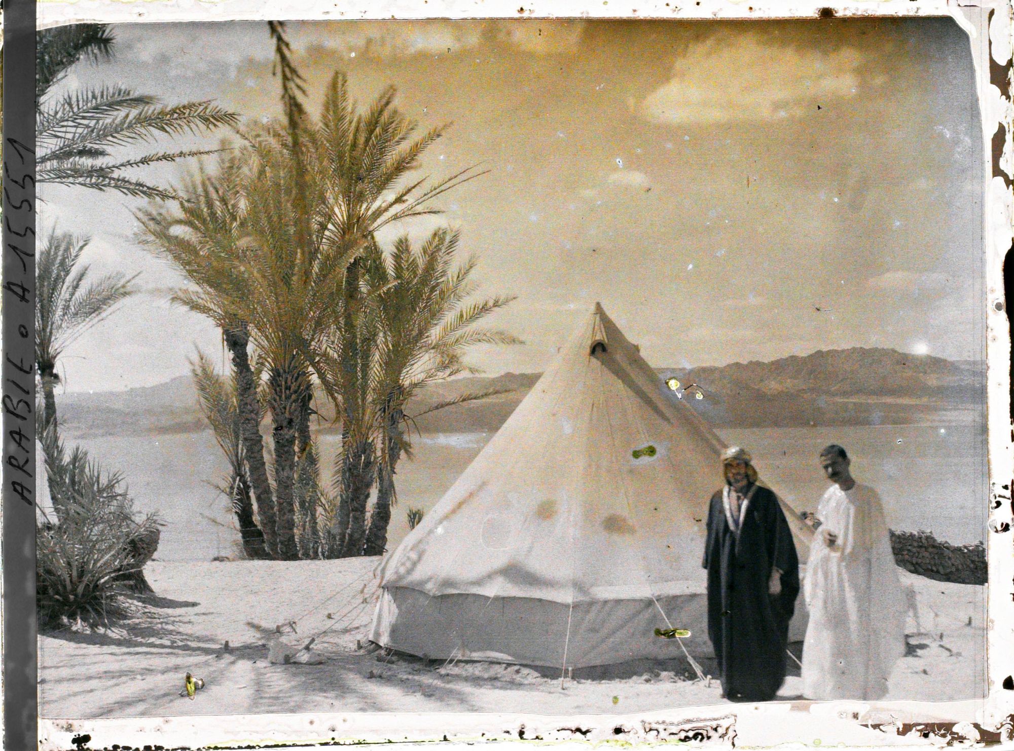 Image représentant Campement des forces arabes du royaume du Hedjaz, dans une palmeraie au bord du golfe d'Aqaba