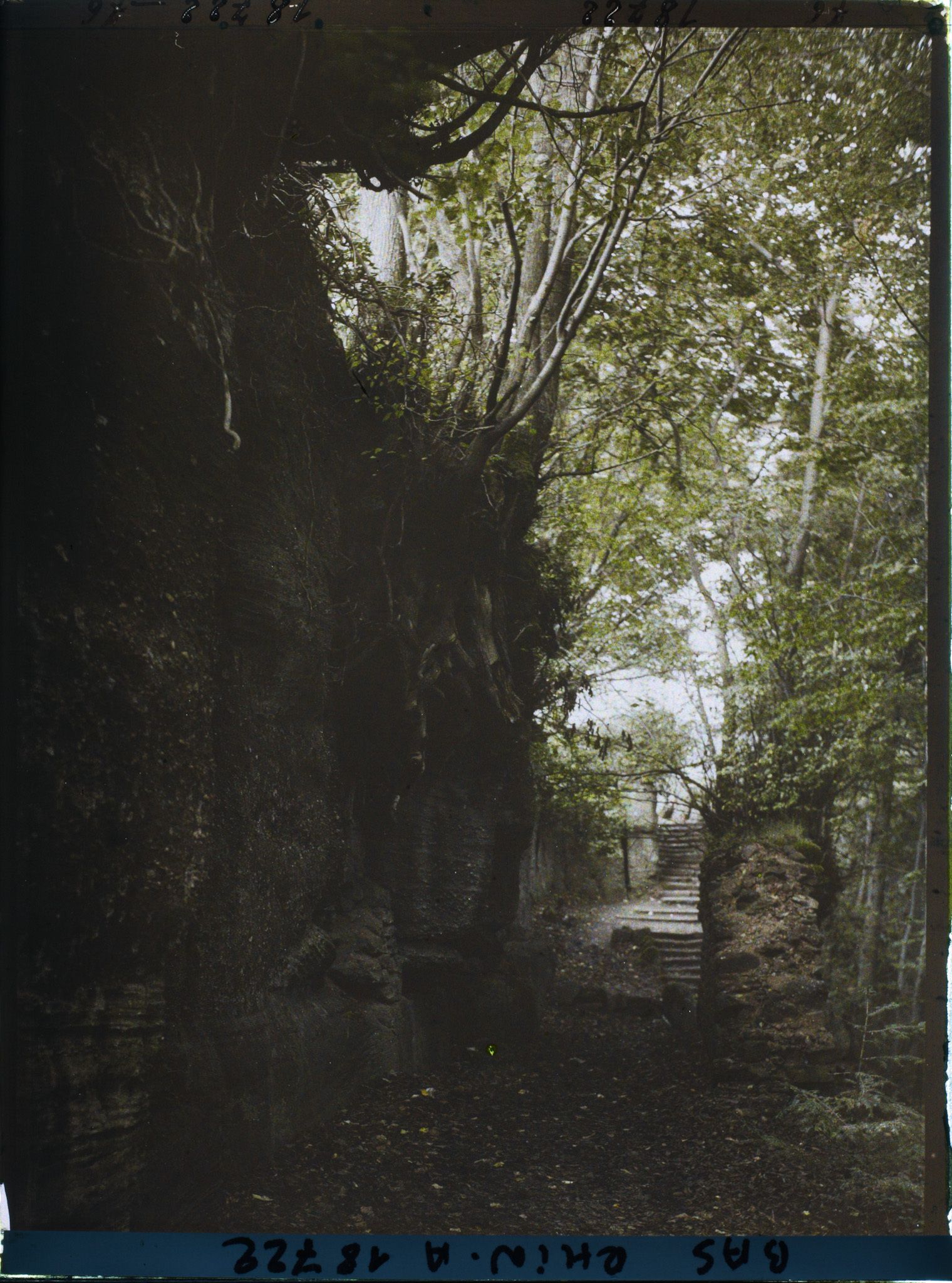 Image représentant France, Ste Odile, Le mur païen près du couvent