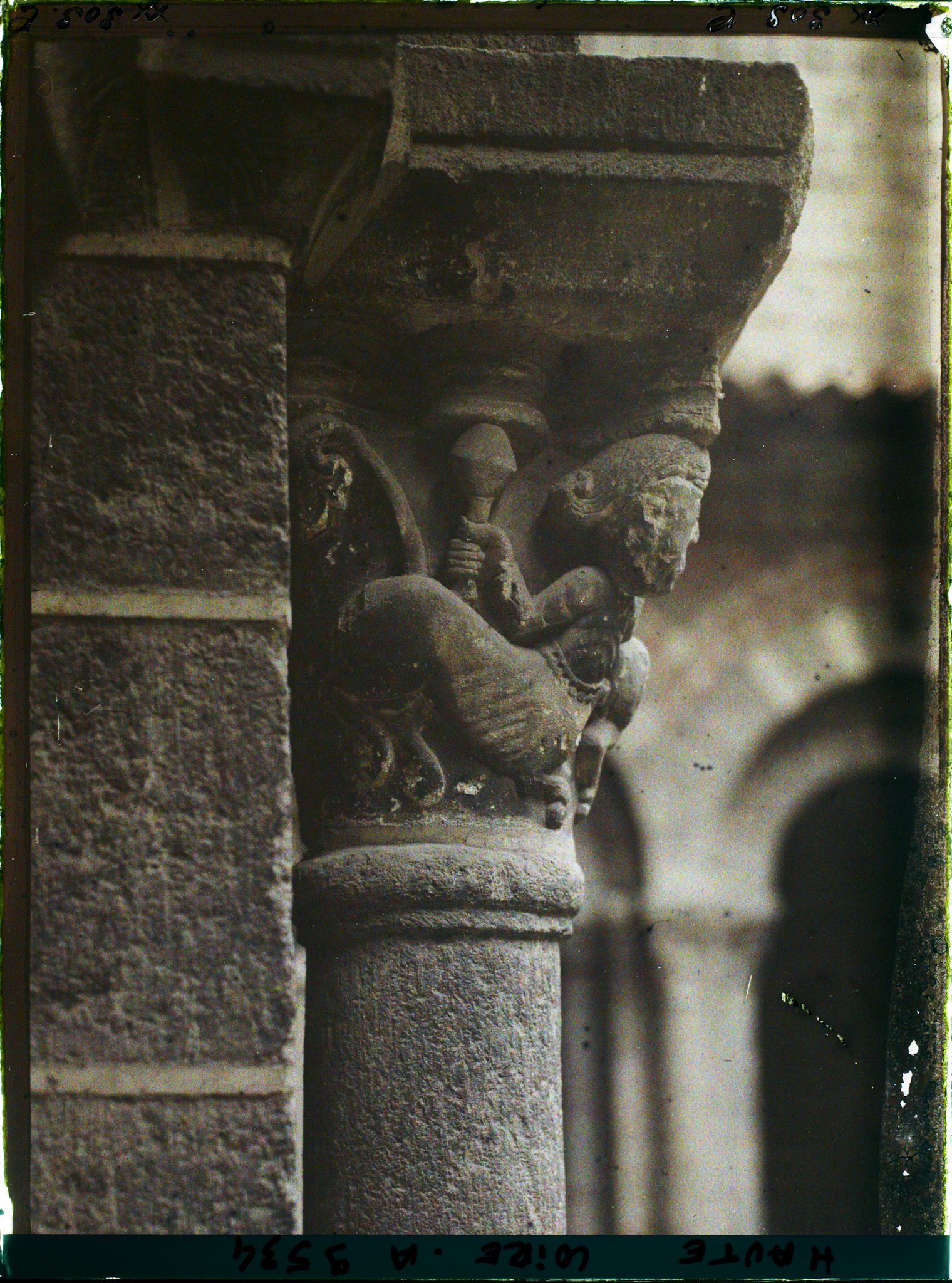 Image représentant Détail d'un chapiteau du cloître de la cathédrale Notre-Dame-de-l'Annonciation