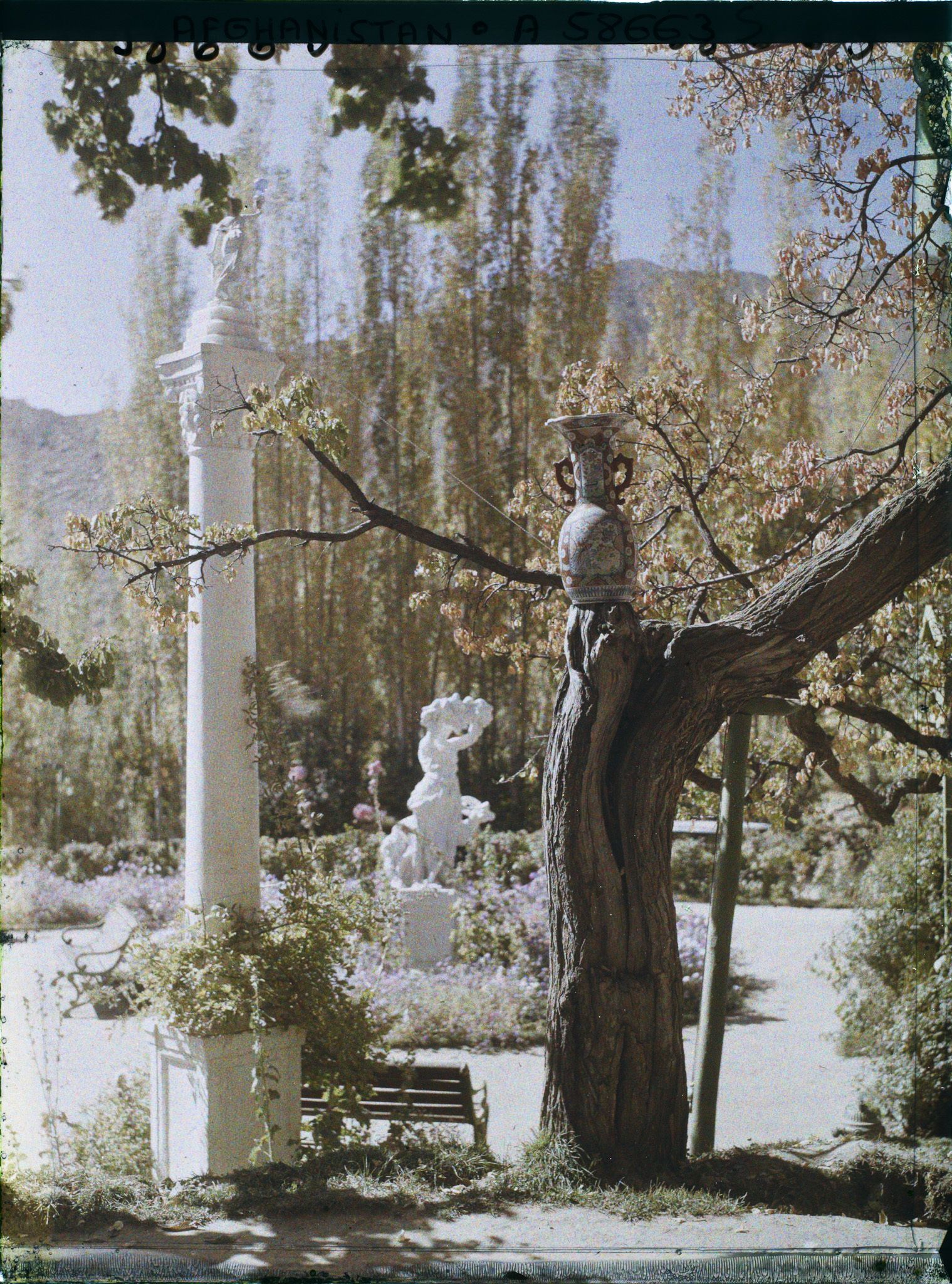 Image représentant Afghanistan, Paghman, Jardin du Palais du Roi - Coin du Jardin au rond point