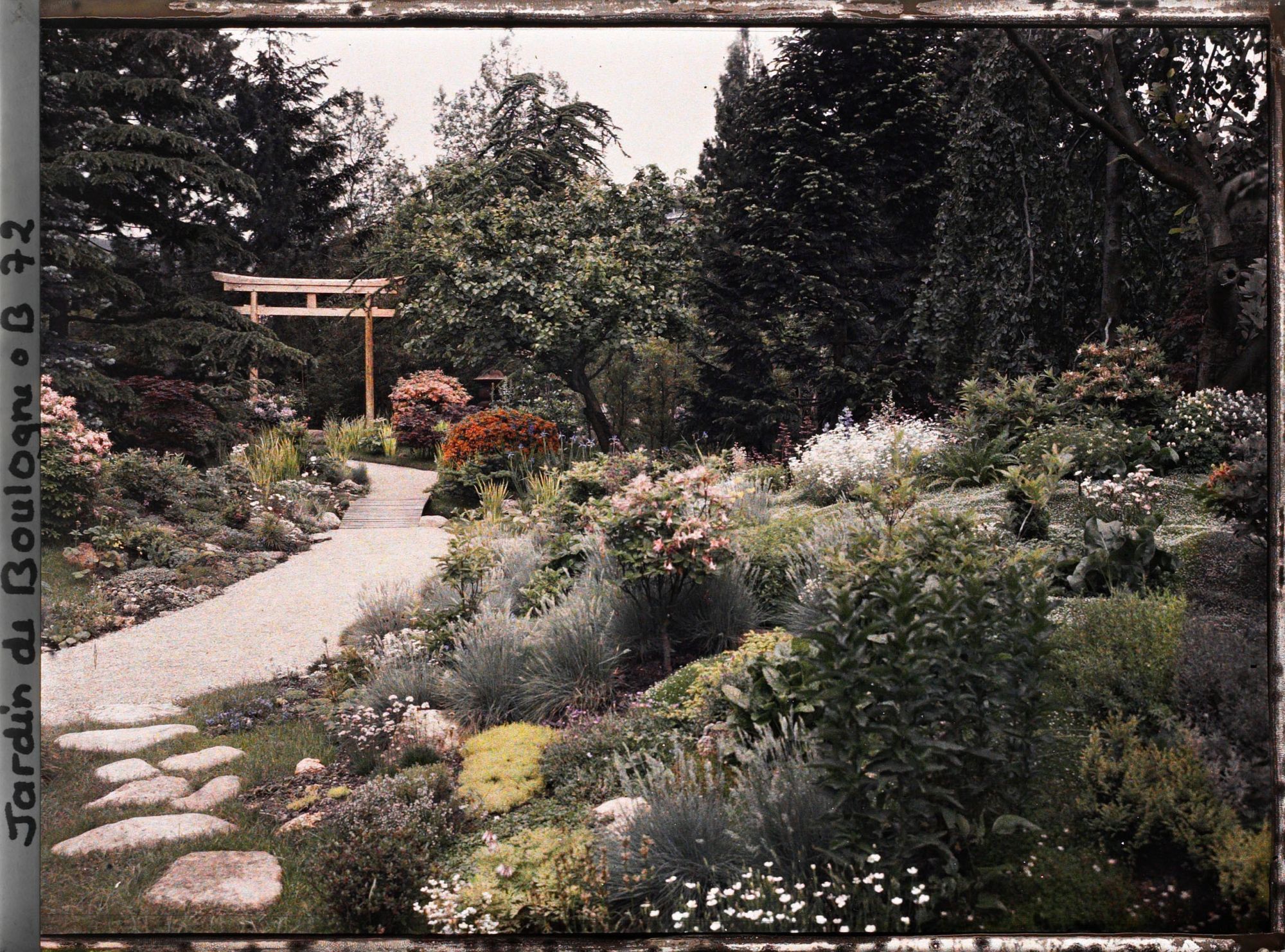 Image représentant Pas japonais et chemin fleuri menant à un torii du " sanctuaire japonais "