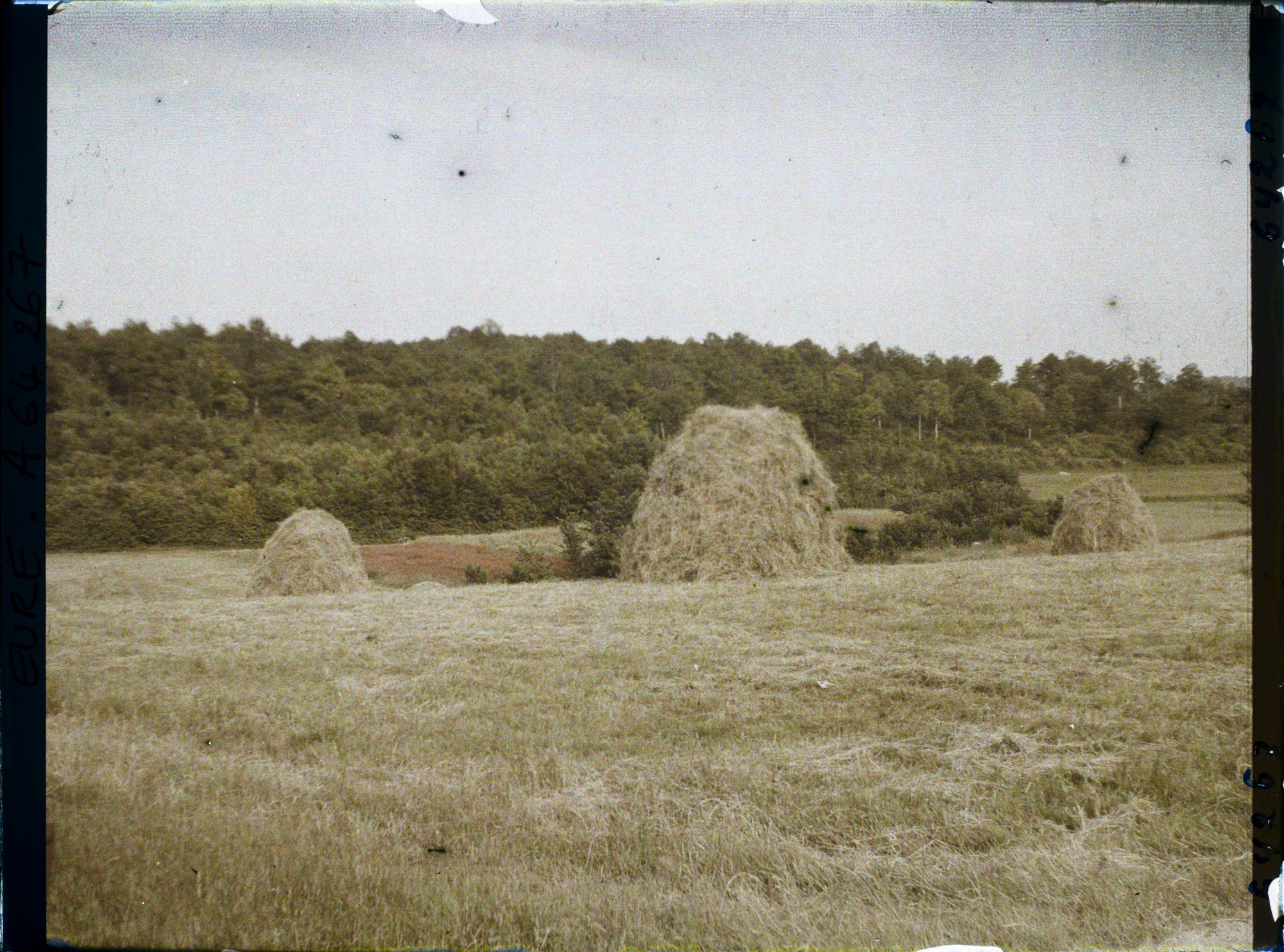 Image représentant Prairie et foin en tas