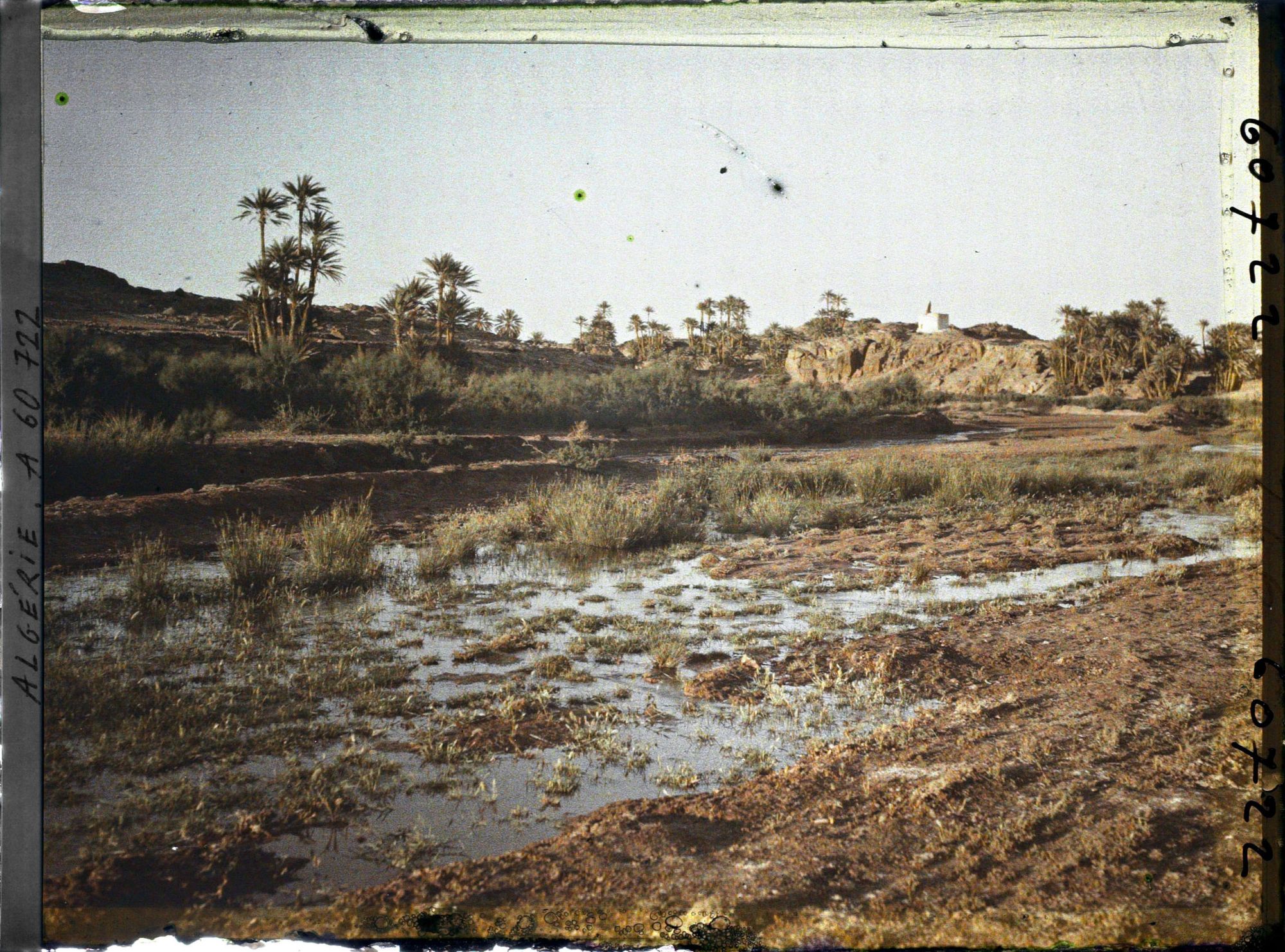 Image représentant Vue de l'oasis