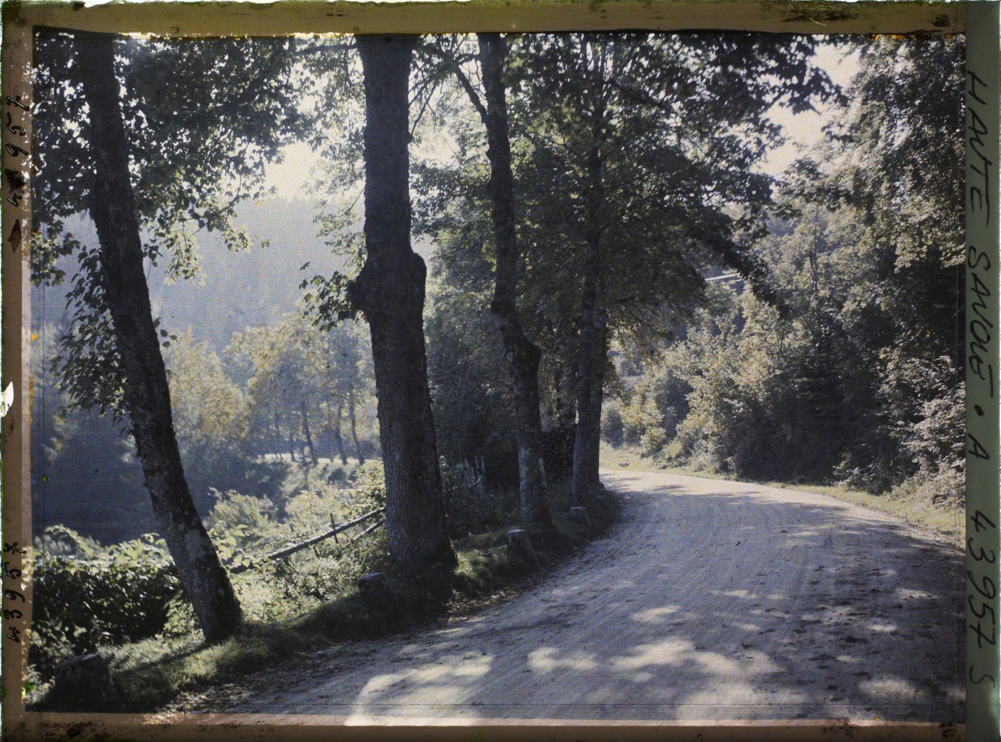 Image représentant La route de La Cure à Saint-Cergue