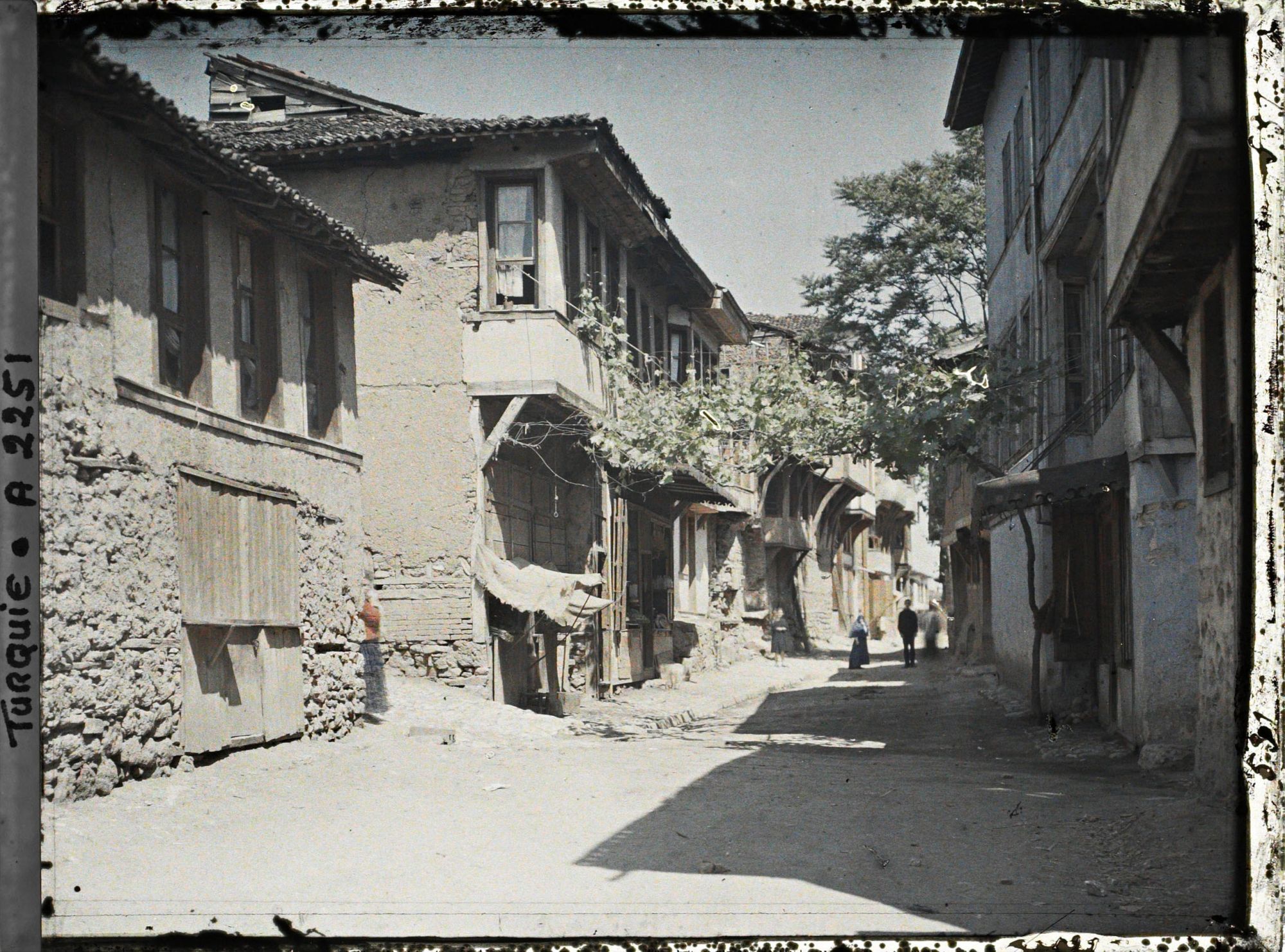Image représentant Rue traversée par une vigne en treille