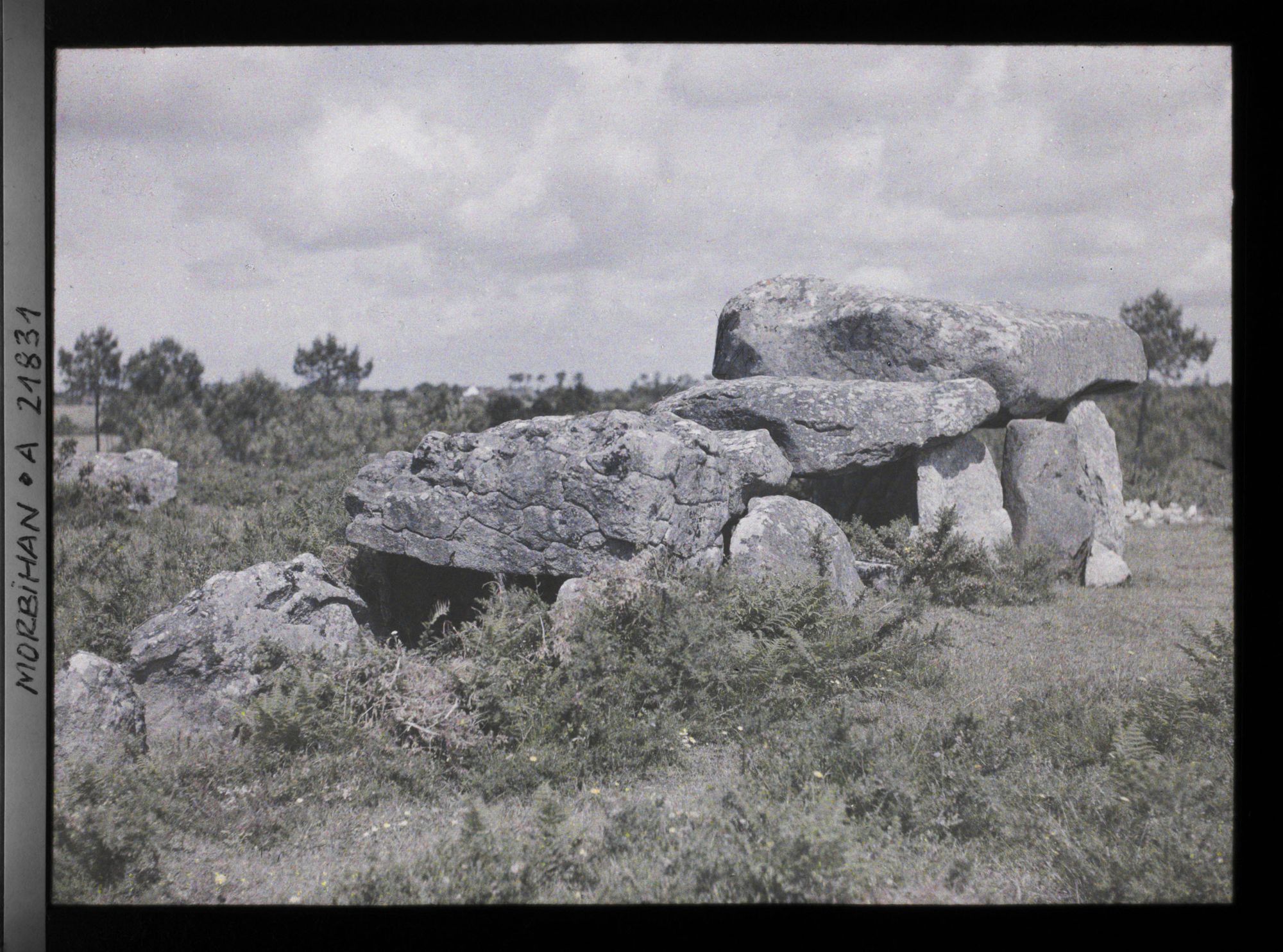 Image représentant L'allée couverte de Mané-Kerioned, route d'Auray à Carnac.