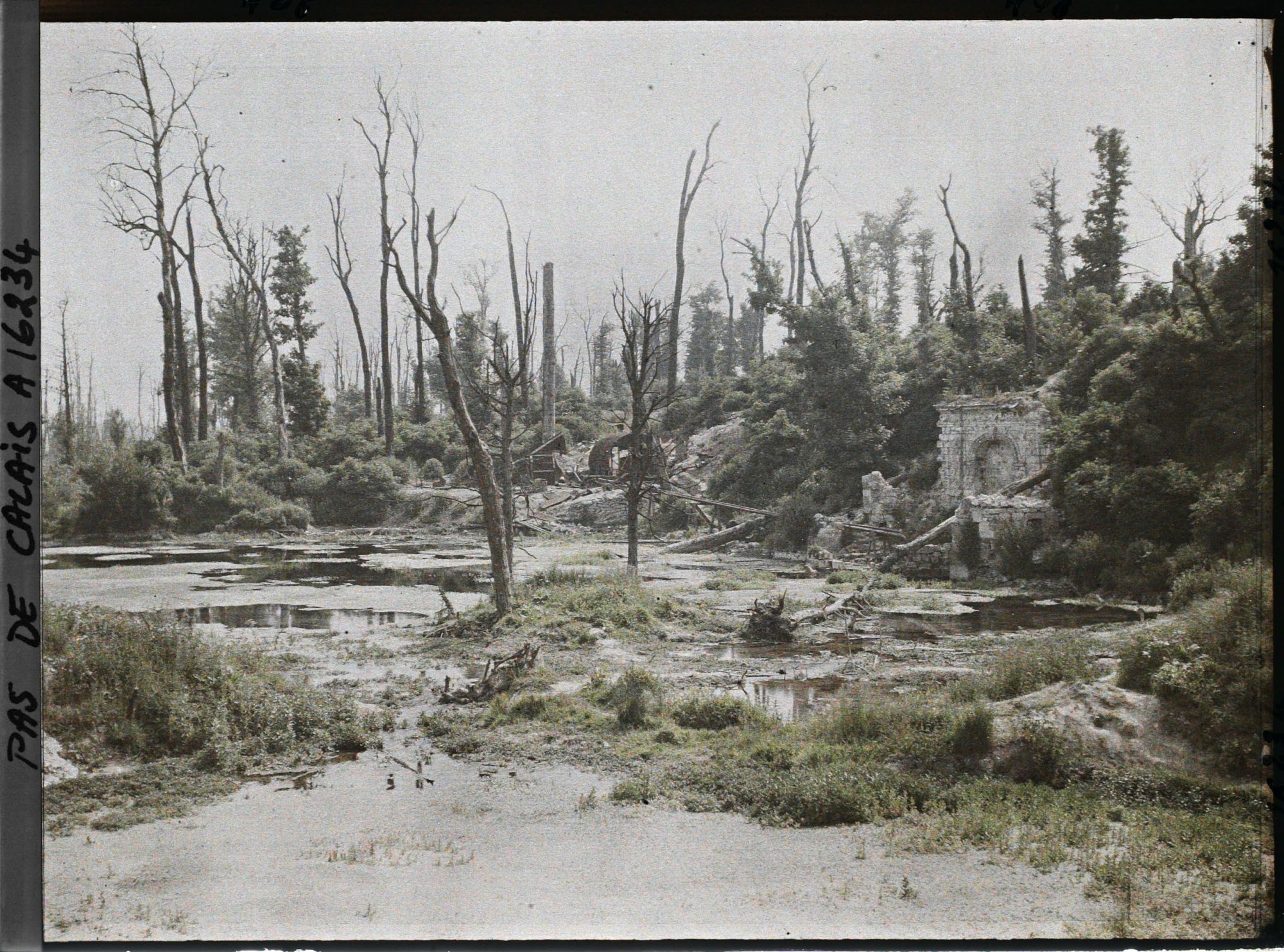 Image représentant France, Blangy, Les Sources du Moulin