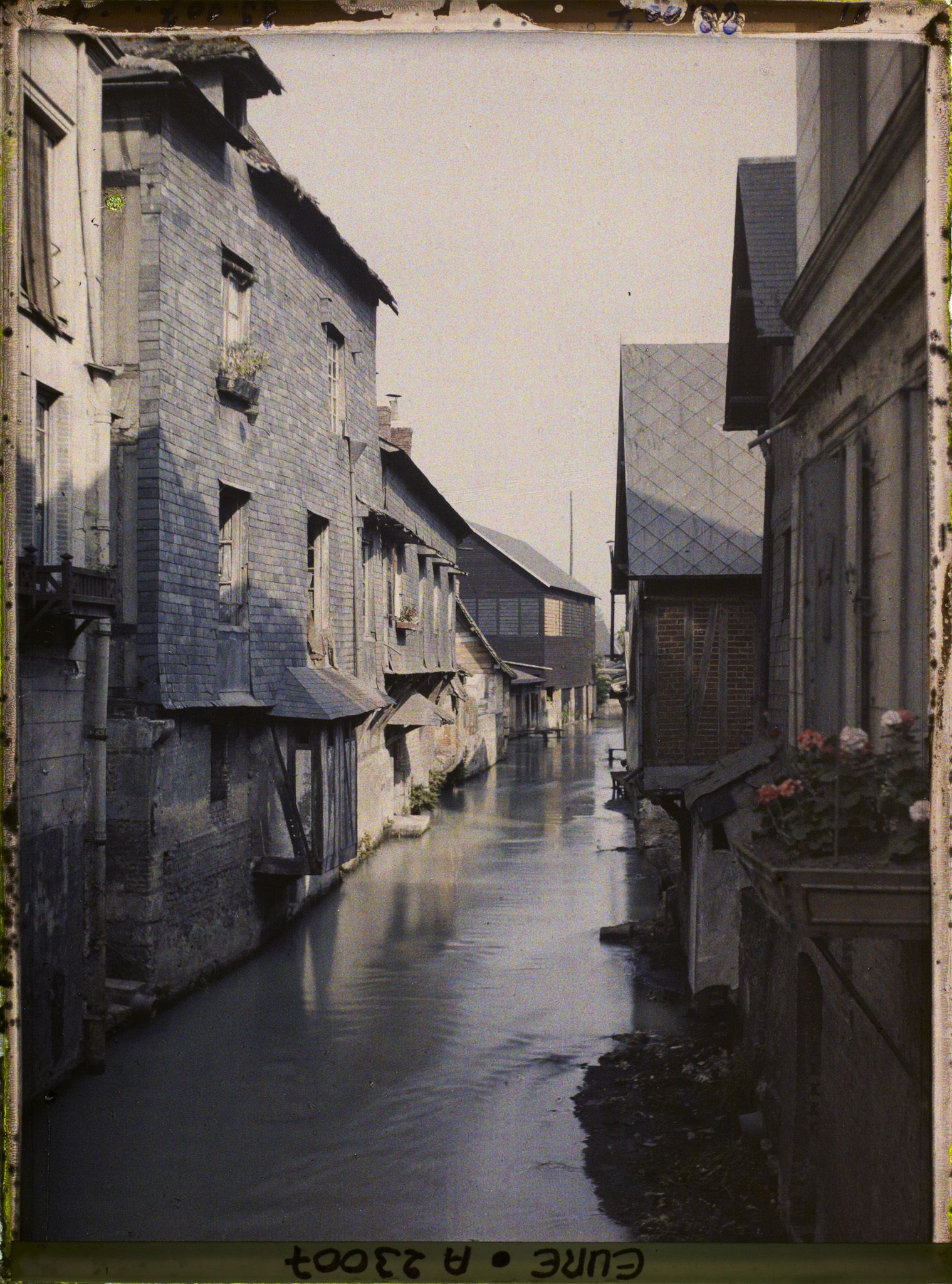 Image représentant Un bras de la Risle, vue prise de la rue Thiers vers l'amont