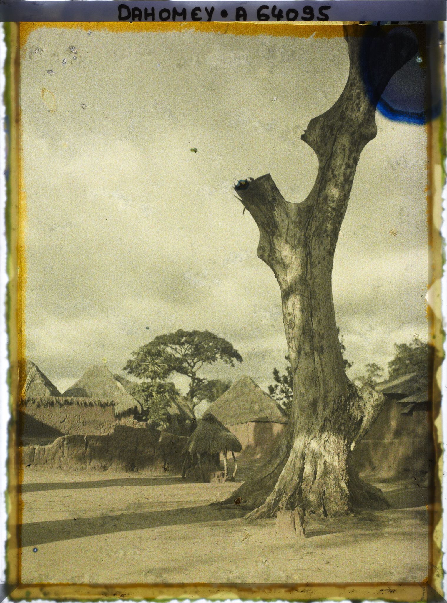 Image représentant Un arbre (sacré ?) dans le village