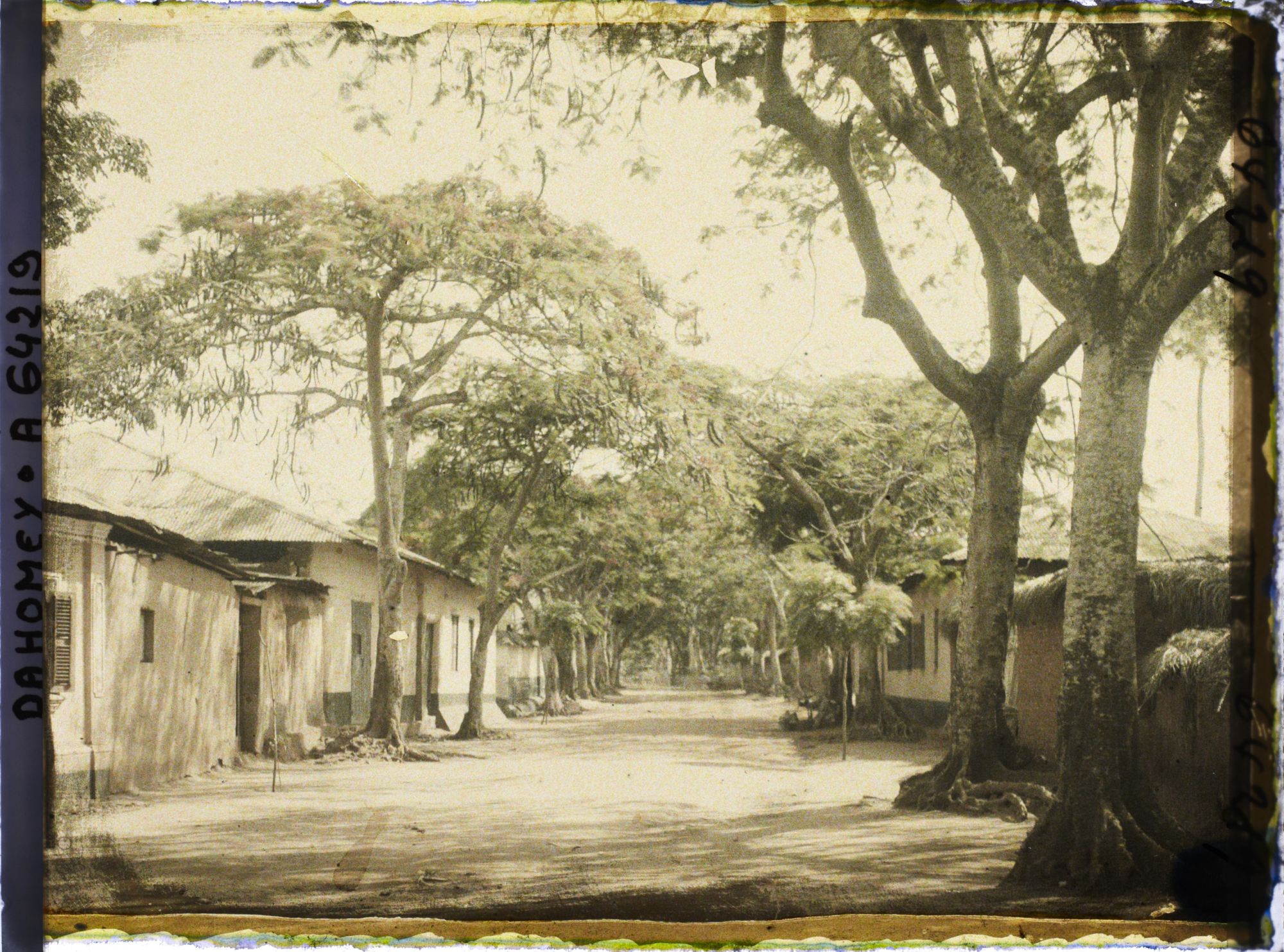 Image représentant L'avenue Gabrielle