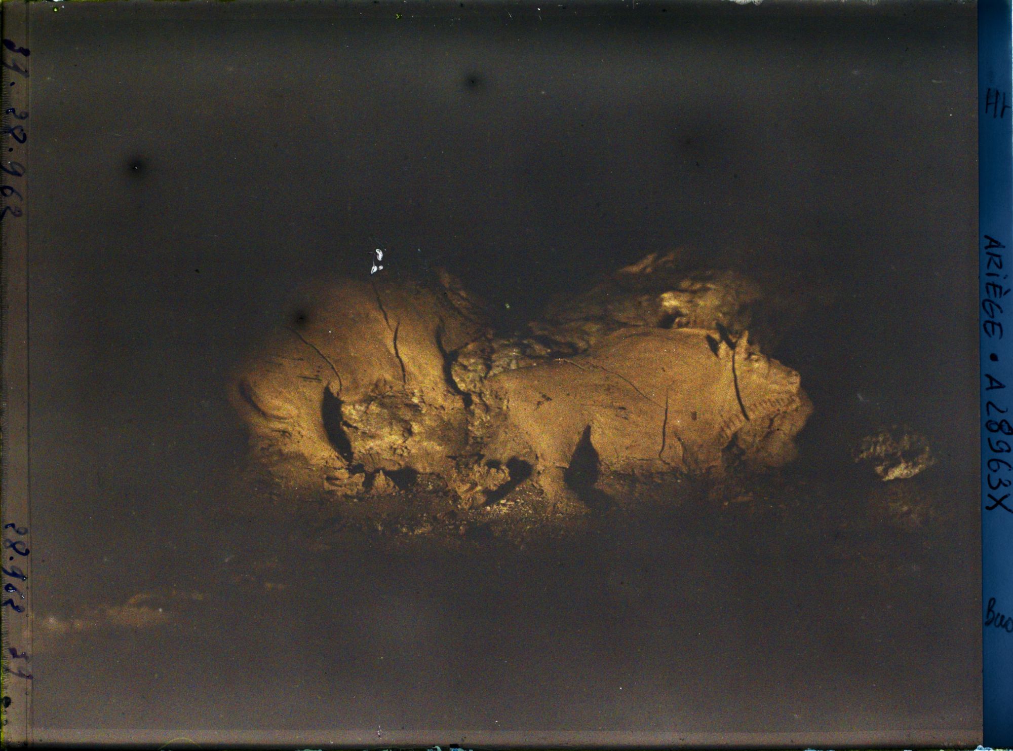 Image représentant La grotte du Tuc d'Audoubert : les bisons