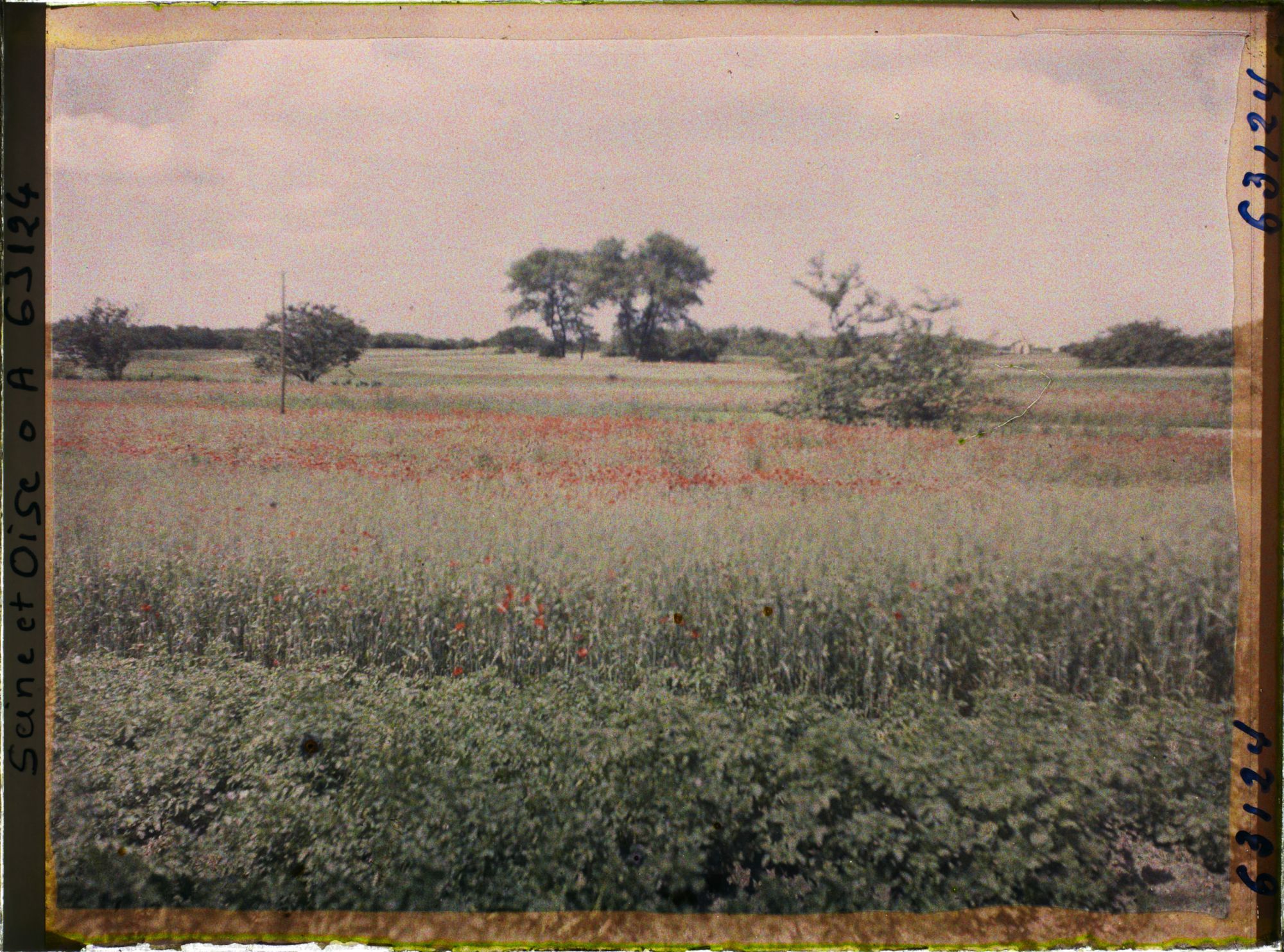 Image représentant Ile de France, Corneilles en Parisis , Pommes de terre et blé