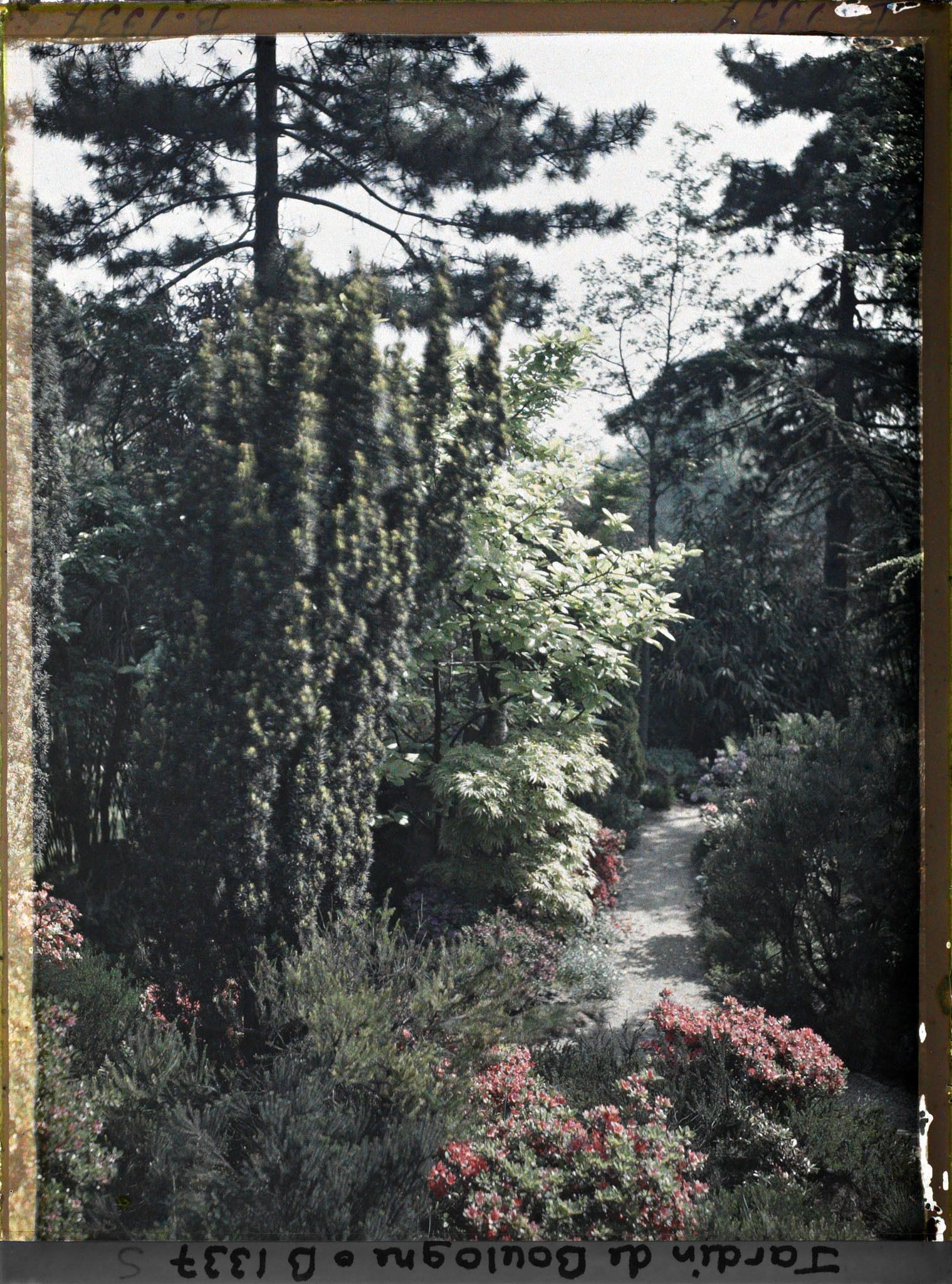 Image représentant Allée du " sanctuaire japonais " longeant le verger-roseraie, bordée d'une rocaille fleurie